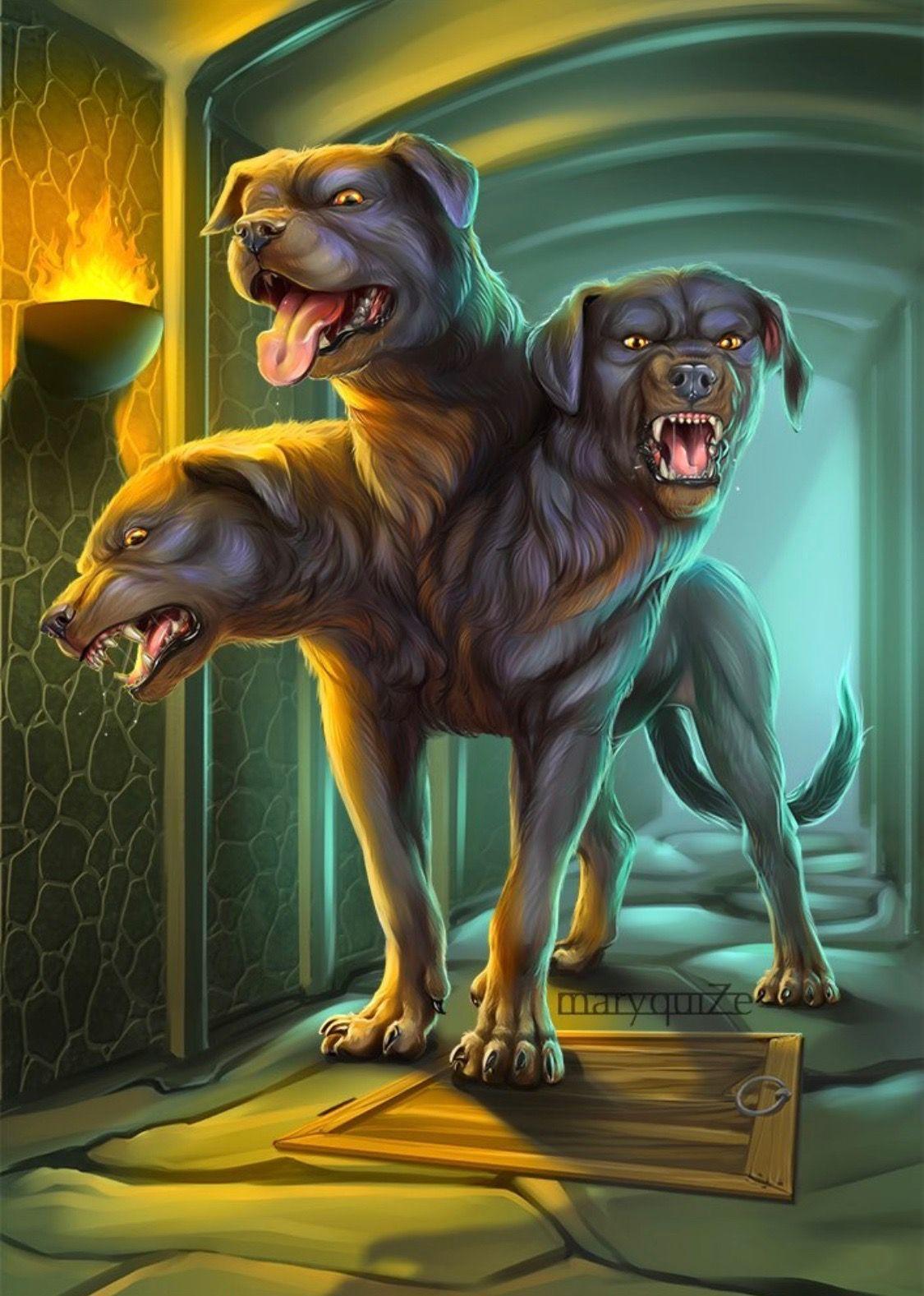 Harry Potter Dogs Wallpapers Top Free Harry Potter Dogs Backgrounds
