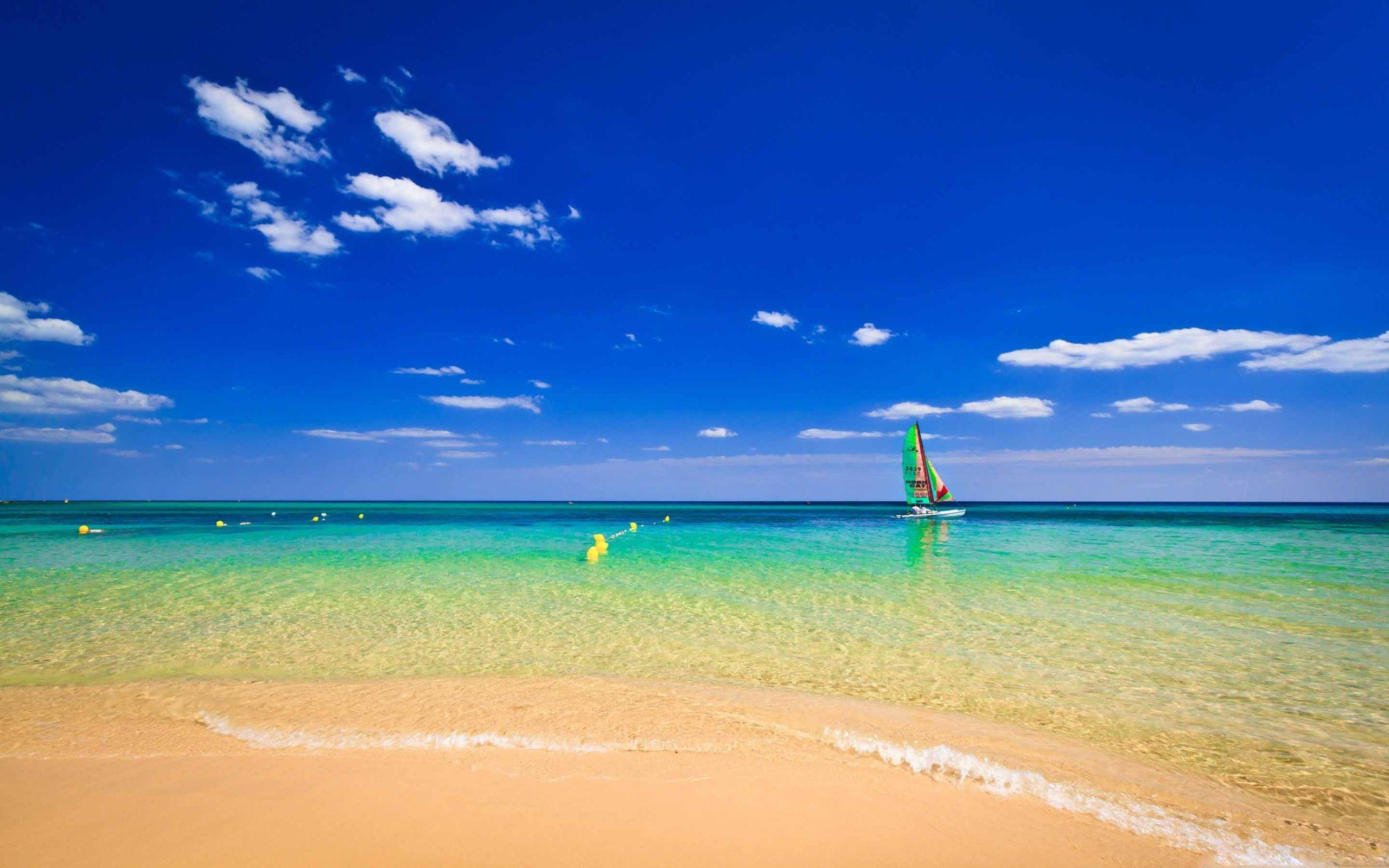 2560x1600 Beach Ocean Horizon MacBook Air Wallpaper Download