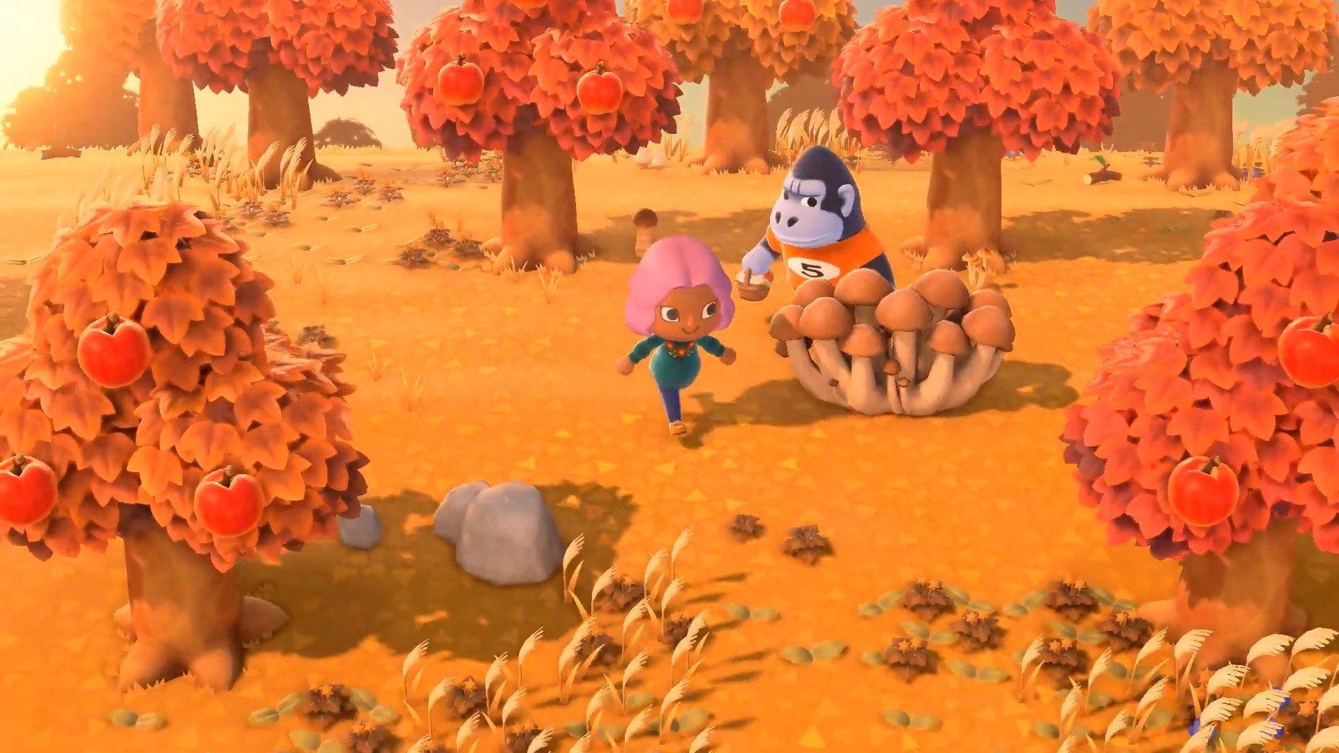 1920x1080 Animal Crossing New Horizons HD Wallpaper 69256 1920x1080px