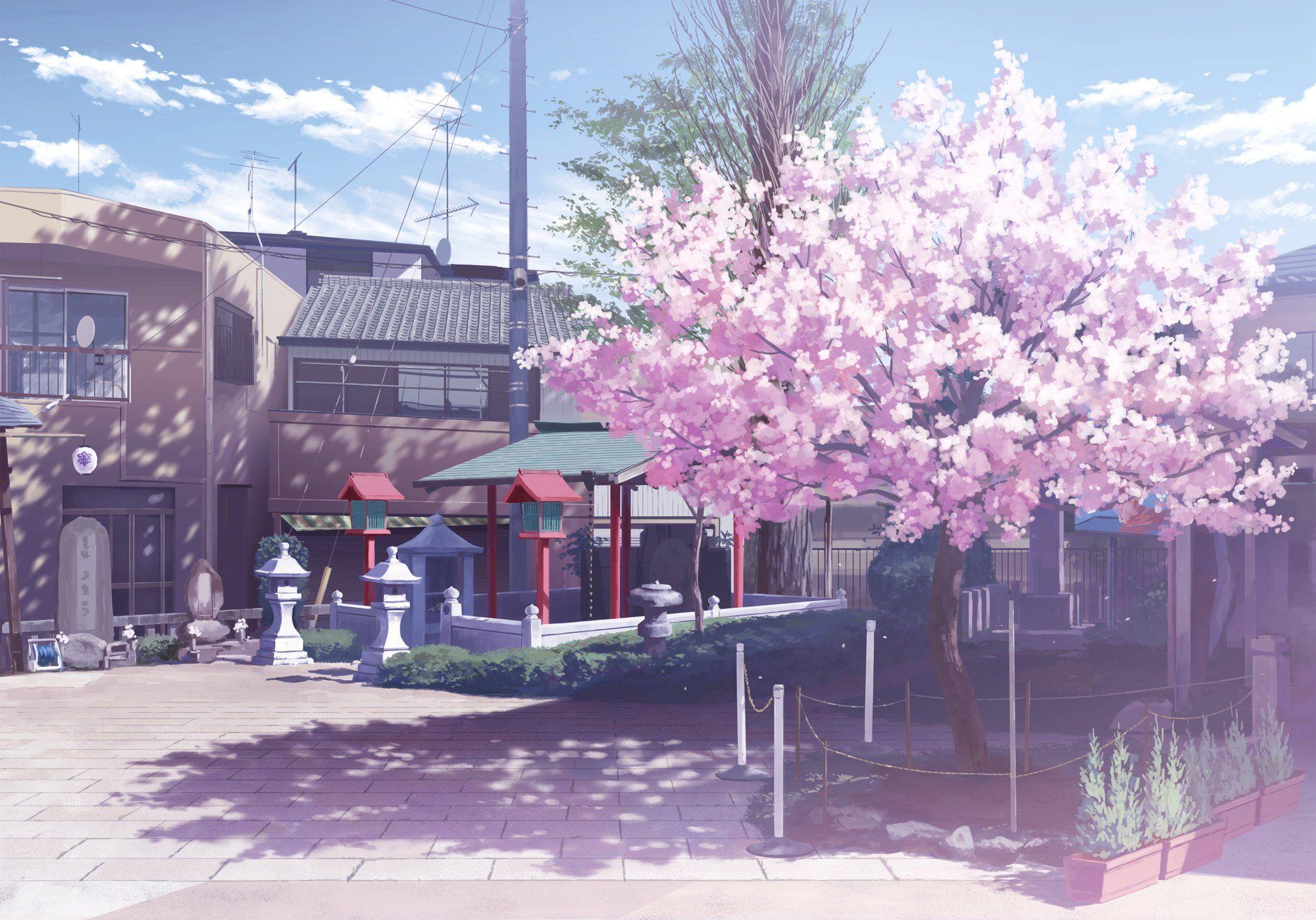 Anime Aesthetic Wallpaper Cherry Blossom Tree - canvas-canvaskle