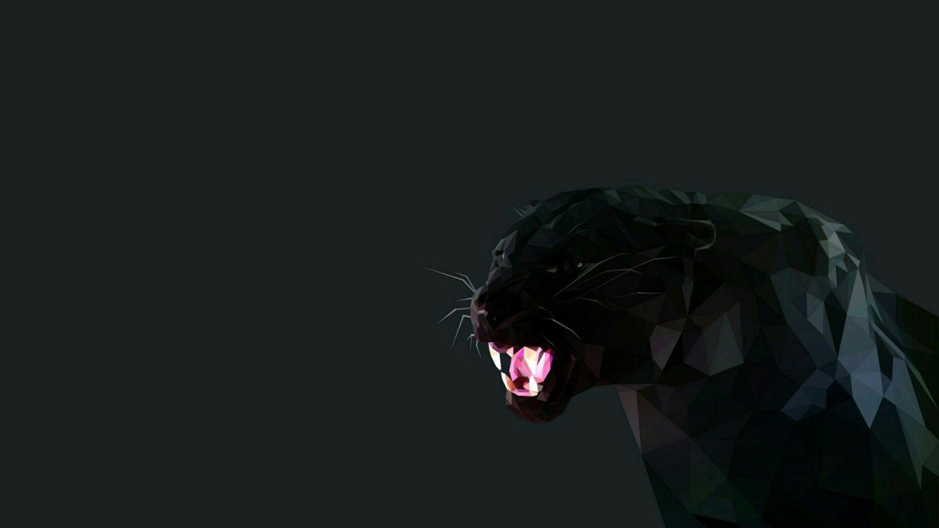 1920x1080 Panther Wallpaper Elegant Black Panther Animal Wallpaper