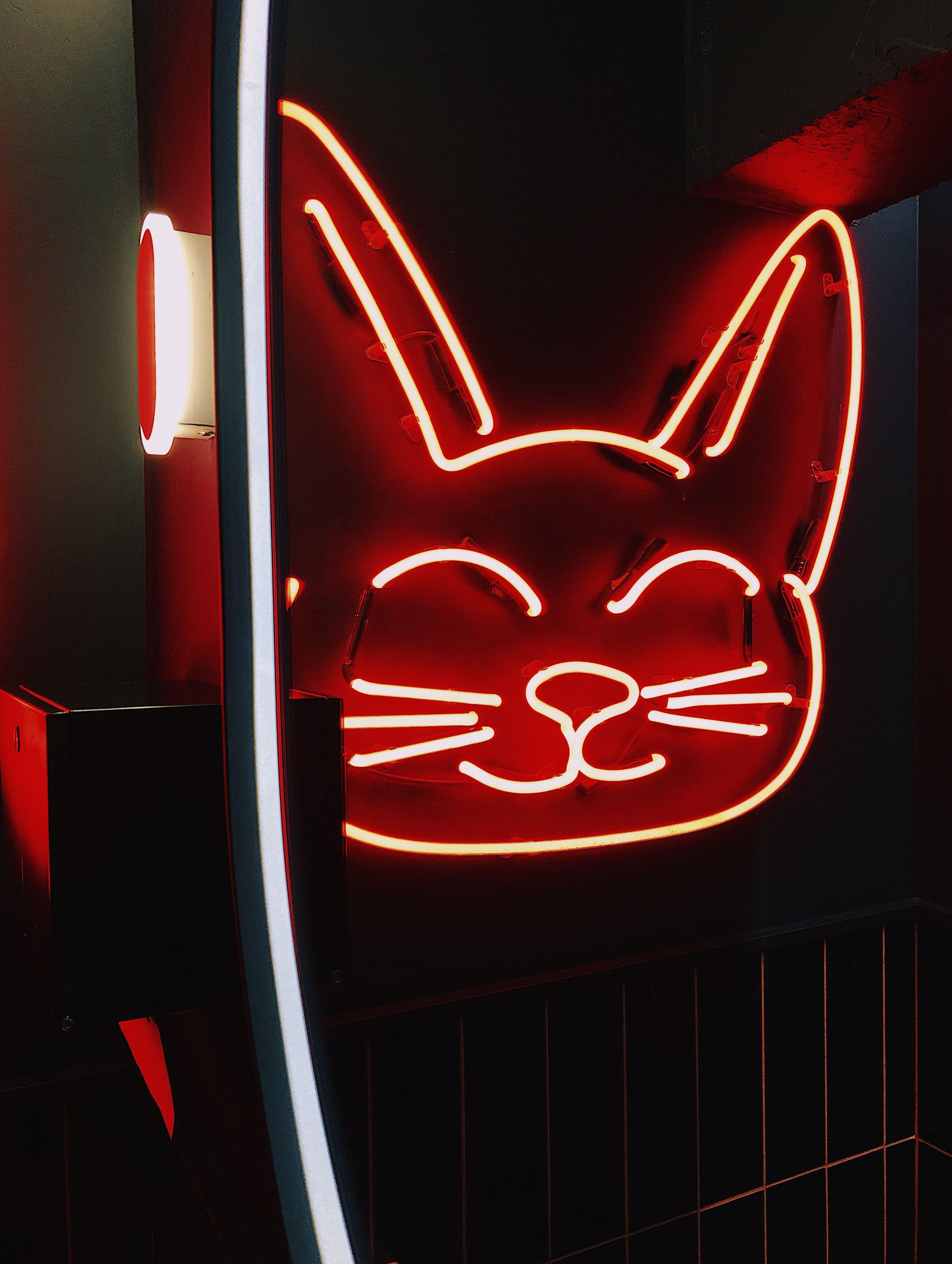 3024x4015 Download wallpaper 3024x4015 neon, sign, cat, light, red HD background