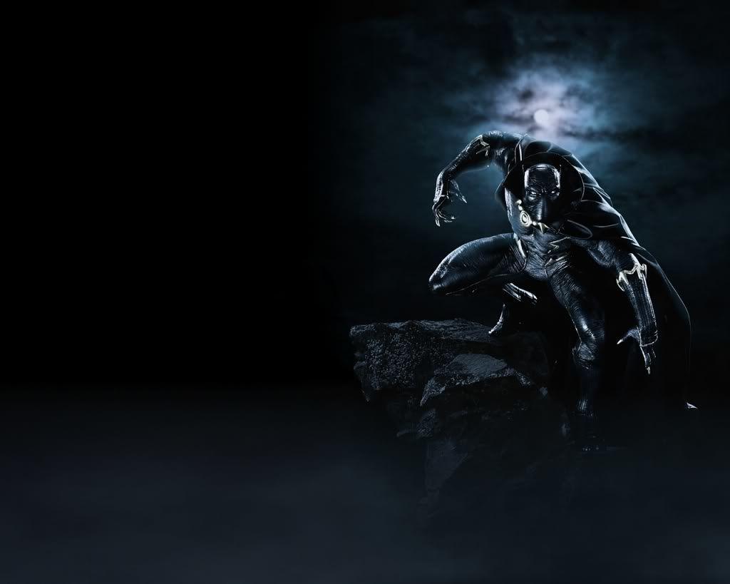 1024x819 Black Panthers Wallpaper
