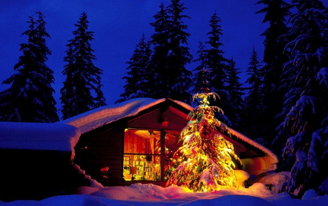 Christmas Night Images  Free Download on Freepik