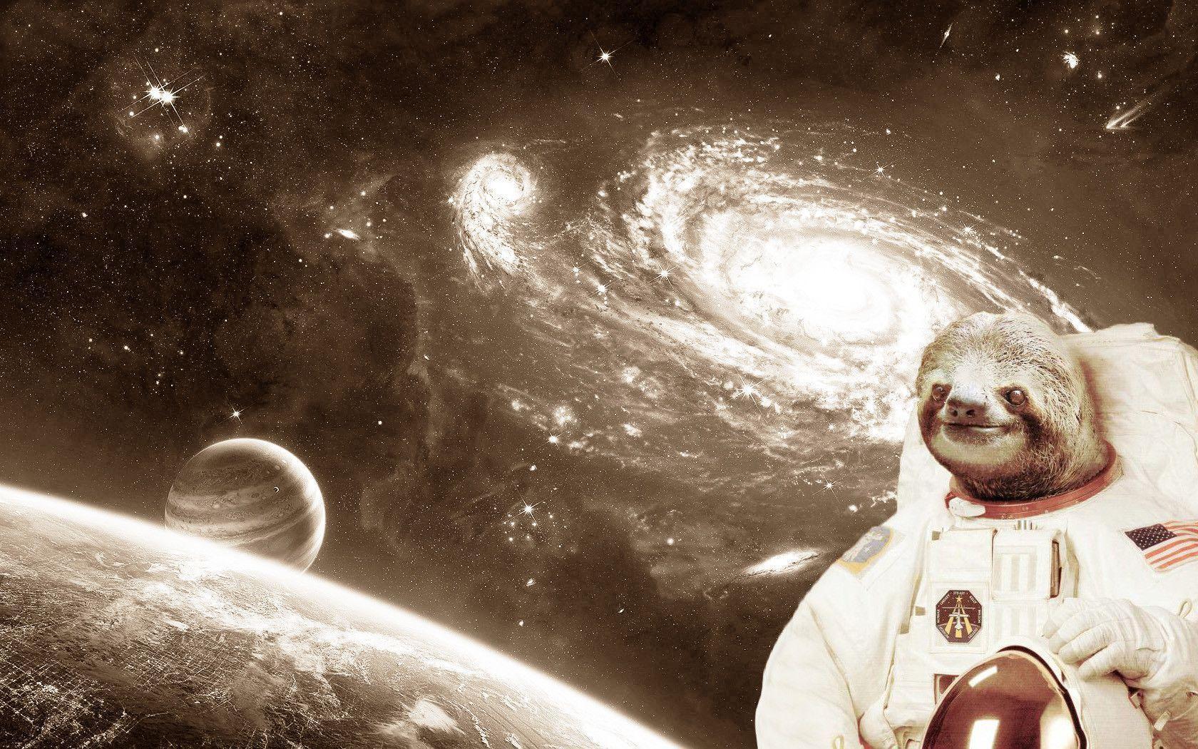 1680x1050 Sloth Wallpaper