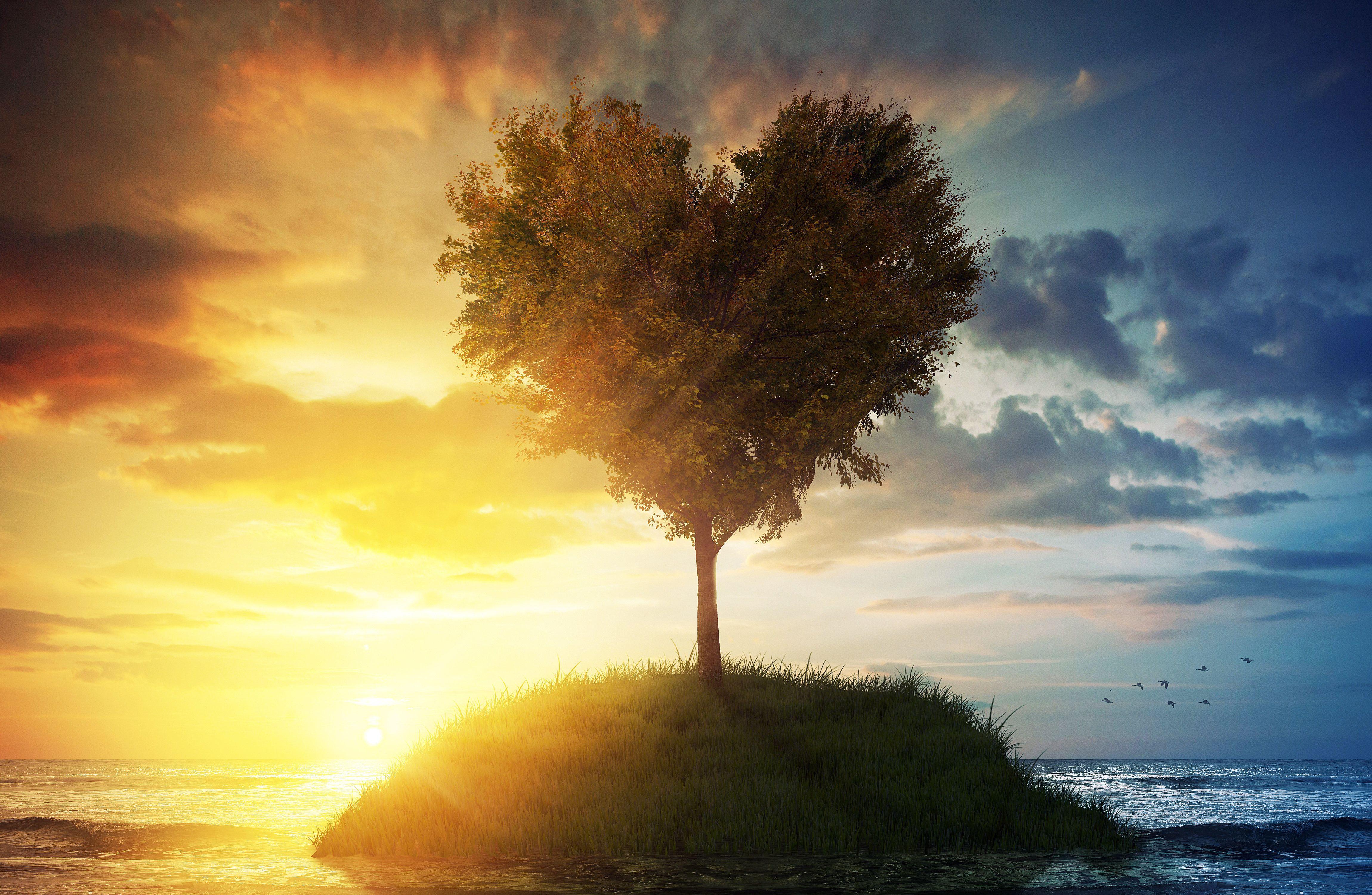 4600x3000 WallpaperD wallpaper. photo. picture. tree, heart, island