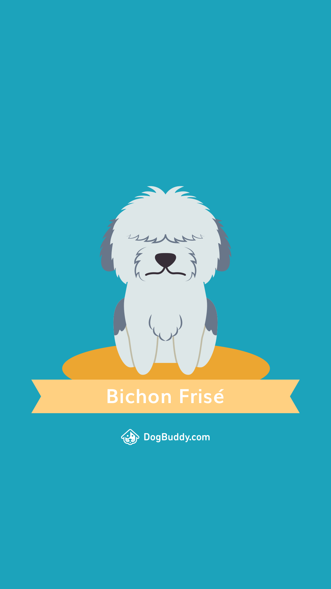1080x1920 Woofpaper: Bichon Frise