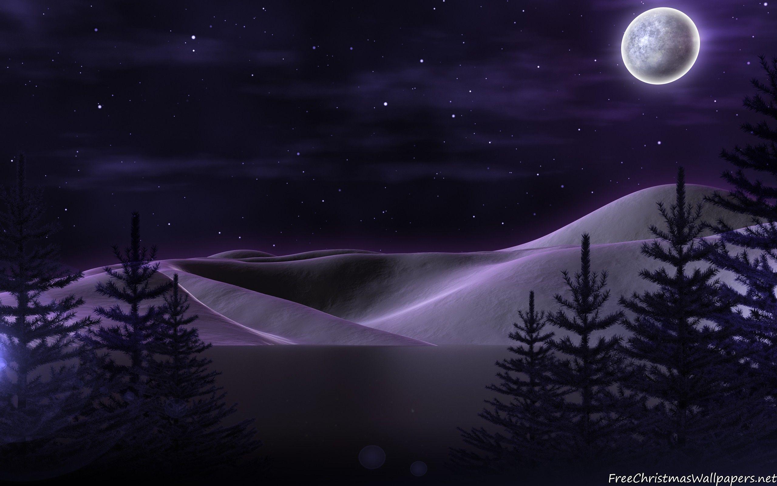 2560x1600 Quiet Christmas Night 2560x1600