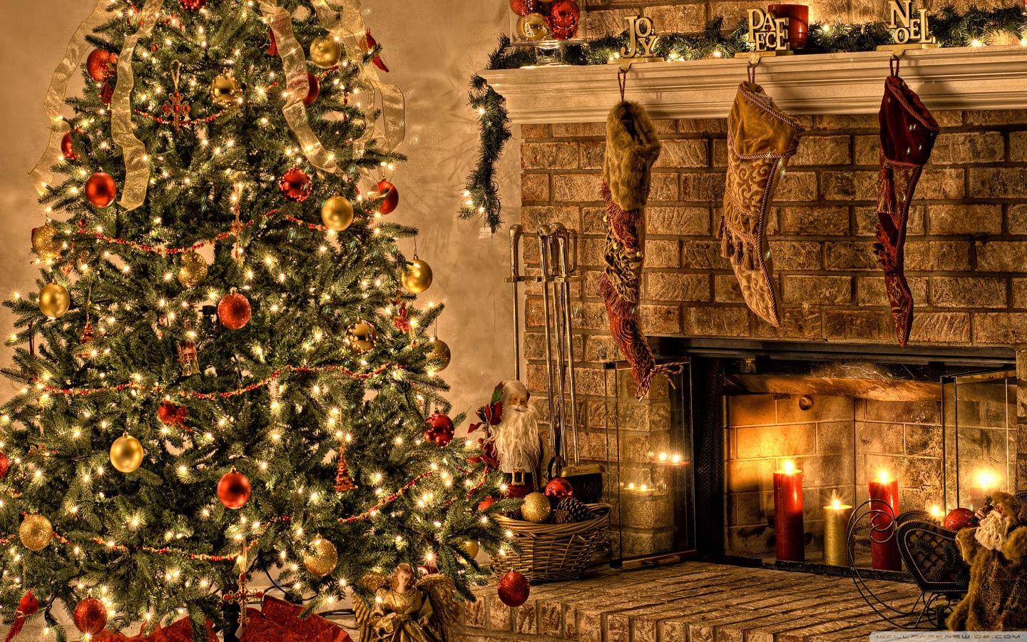1440x900 Christmas Night ❤ 4K HD Desktop Wallpaper for • Wide & Ultra
