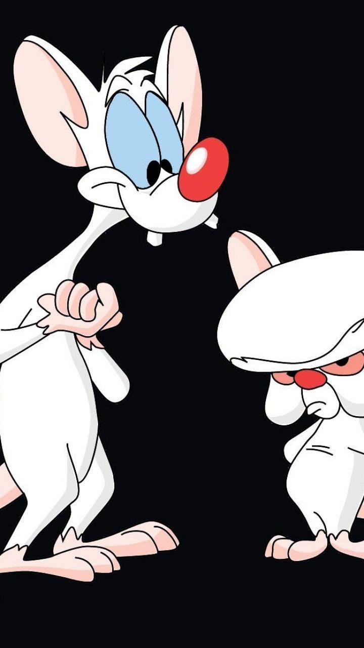 720x1280 IPhone 5 Pinky And The Brain