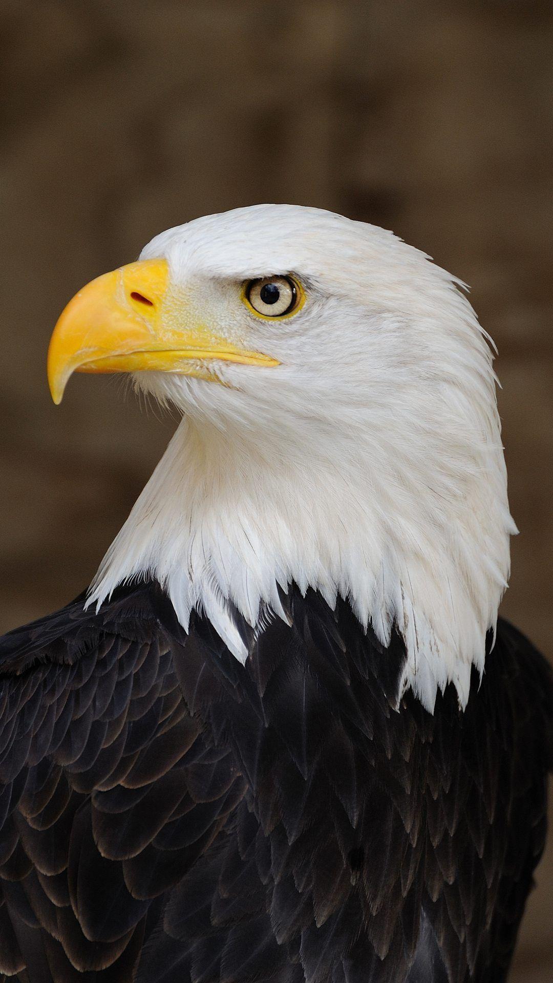 1080x1920 Wallpaper full HD 1080 x 1920 smartphone eagle america symbol