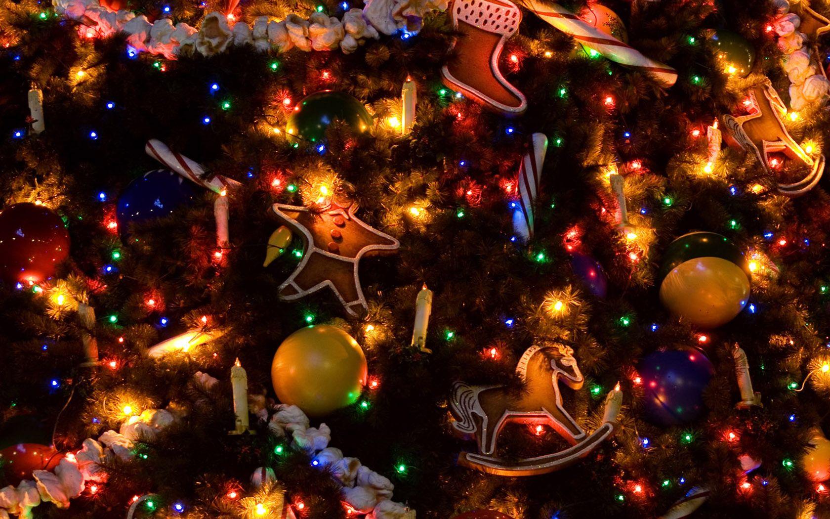 1680x1050 1680*1050 Widescreen Christmas Night View & Christmas Night light