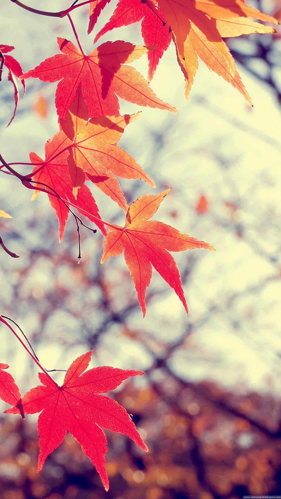 1080x1920 HD Samsung Wallpaper For Free Download
