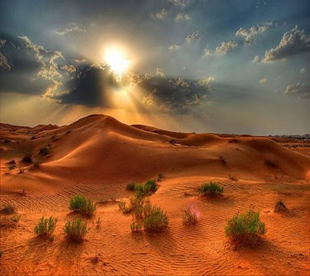 Beautiful Desert Wallpapers - Top Free Beautiful Desert Backgrounds ...