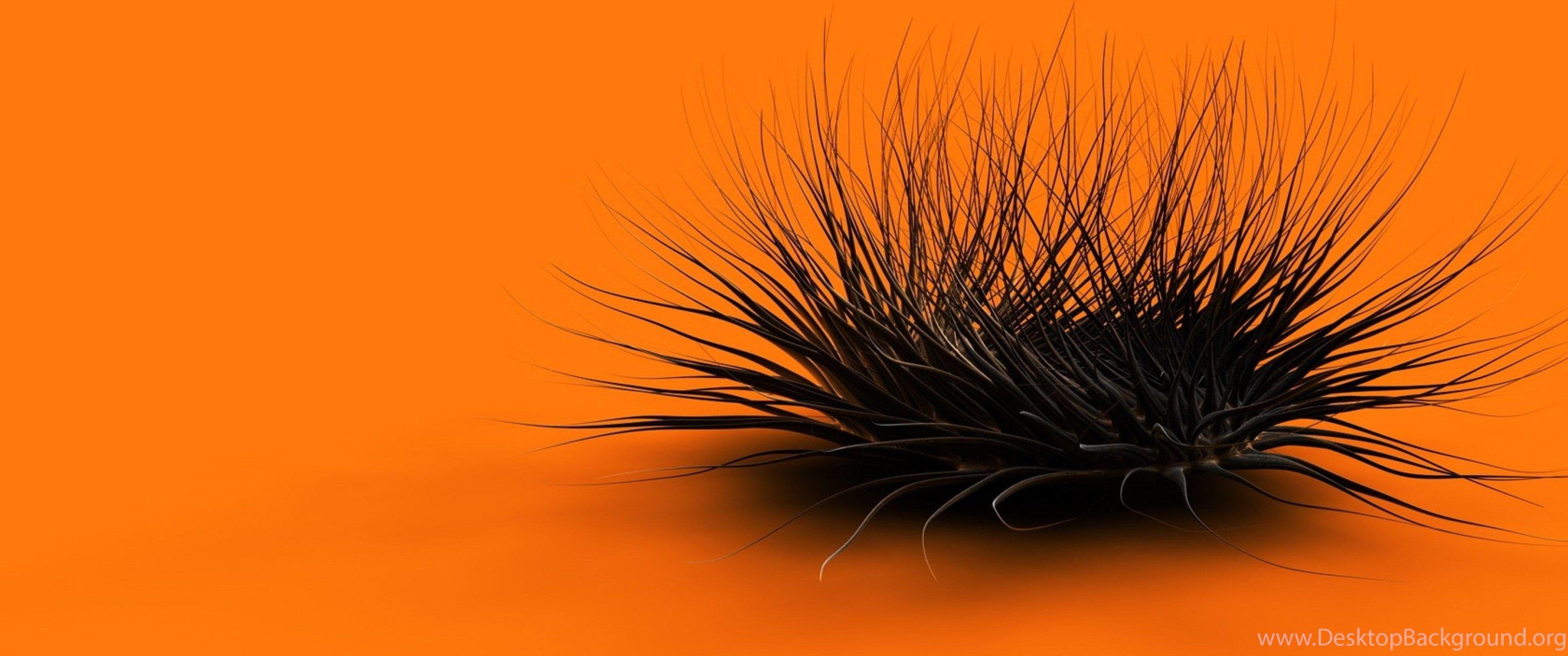 3440x1440 Download Wallpaper 3840x2160 Orange, Black, Feathers, Form 4K