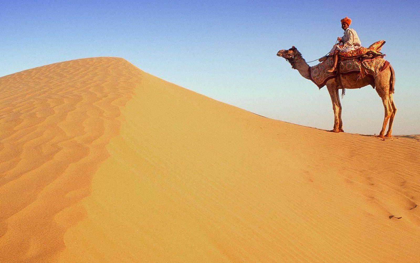 1600x1000 Free download Tag Desert Wallpaper Background Photo Pictureand
