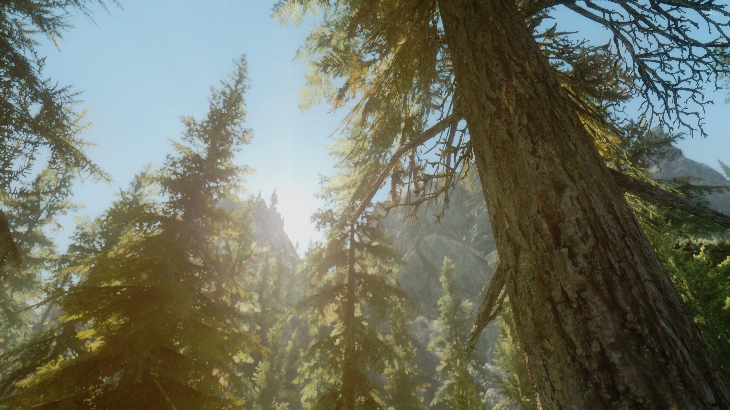 2560x1440 The Elder Scrolls V: Skyrim [39] wallpaper wallpaper