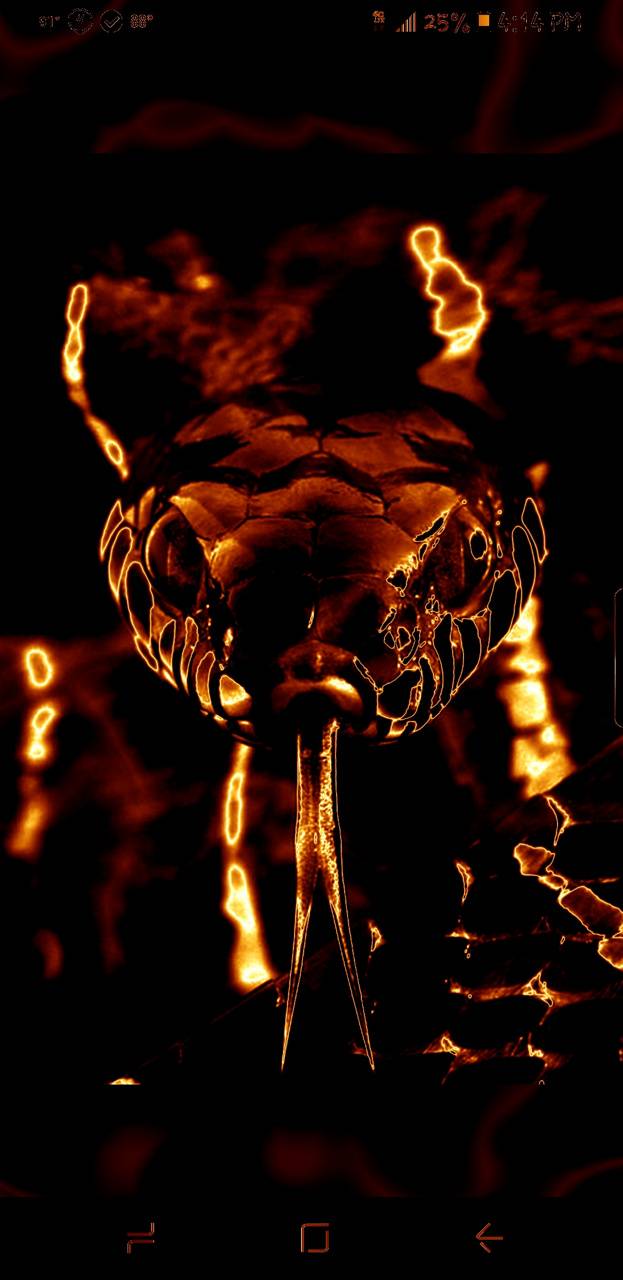 623x1280 Snake wallpaper