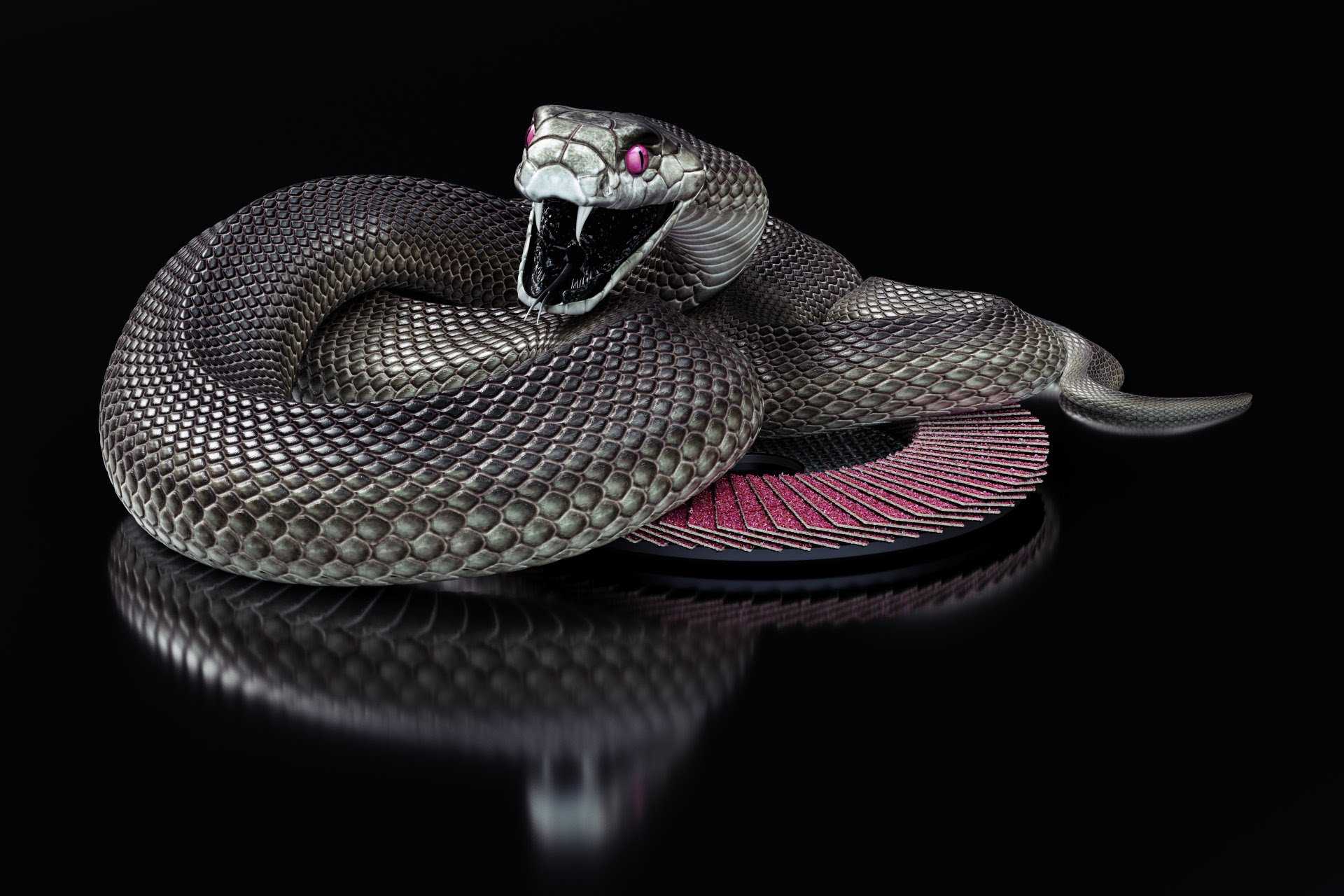 1920x1280 Black Mamba Wallpaper