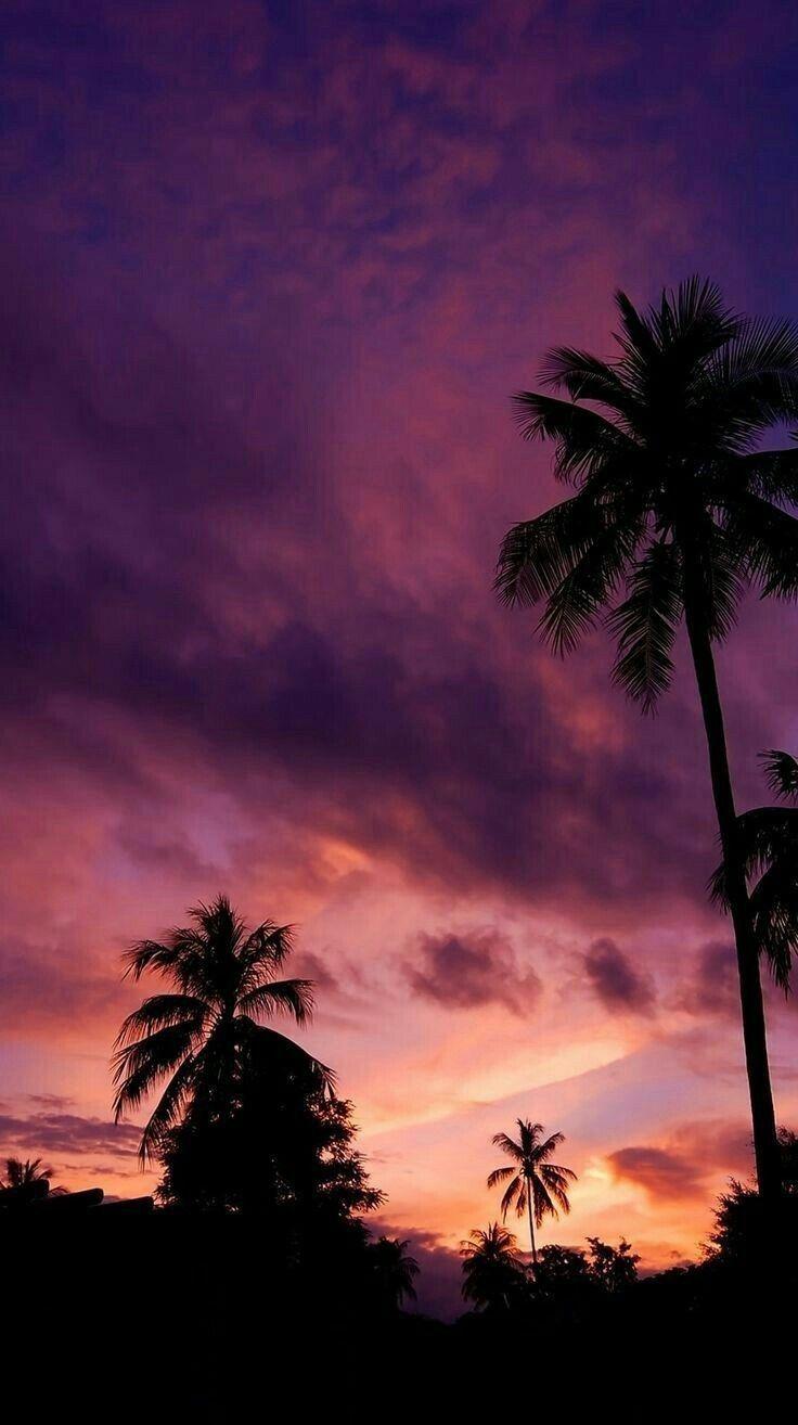 736x1314 Summer / Sommer. Sky aesthetic, Sunset wallpaper