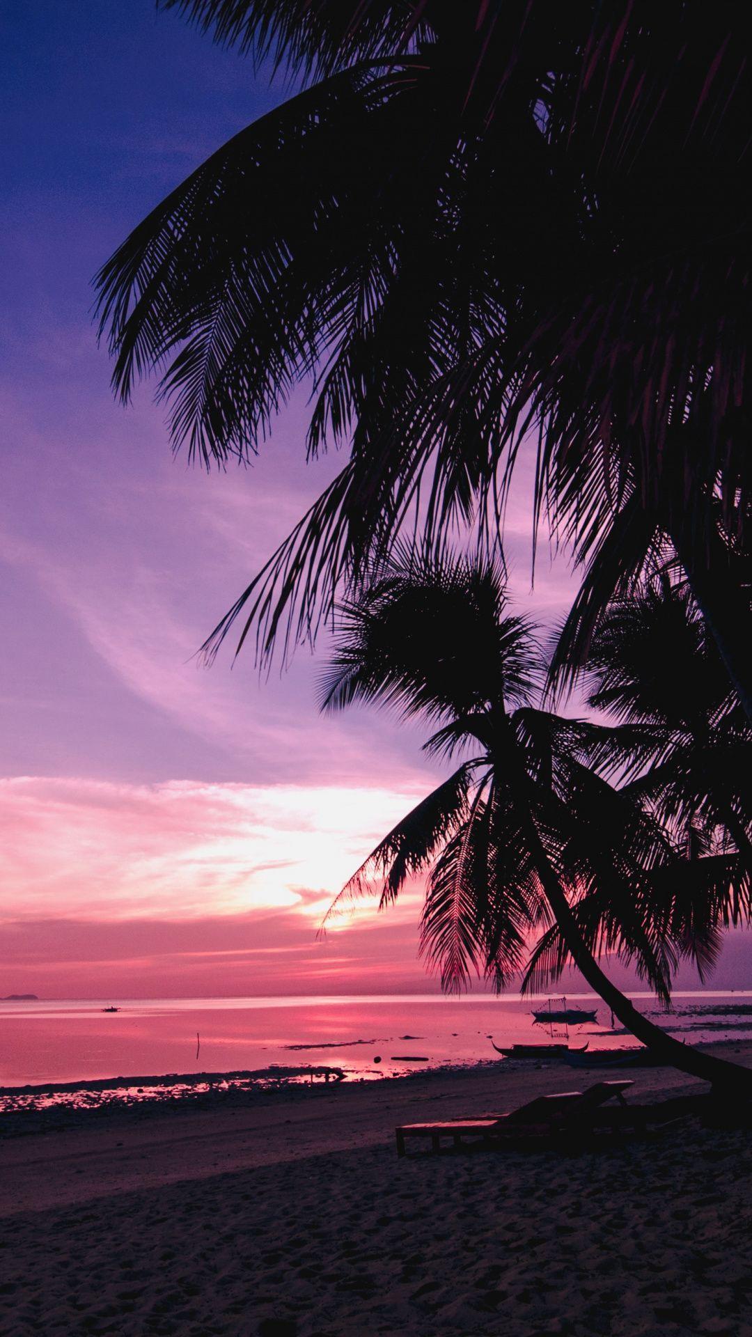 1080x1920 Palm trees, beach, nature, sunset wallpaper. Palm trees wallpaper