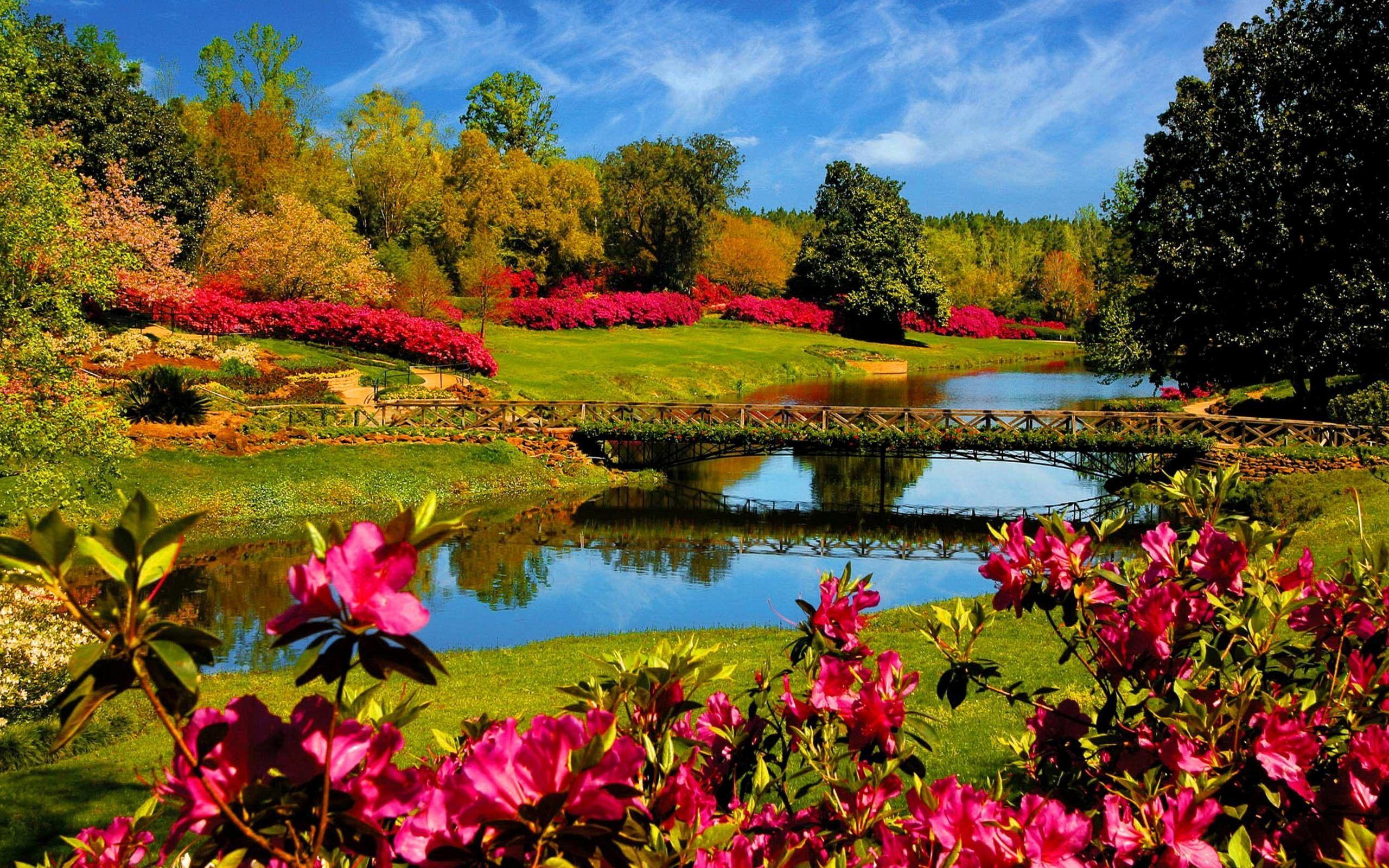 2560x1600 Free download Wallpaper Spring Nature Scenes - 2560x1600