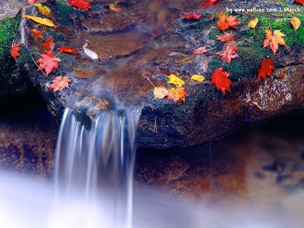 1024x768 Spring Nature Wallpaper