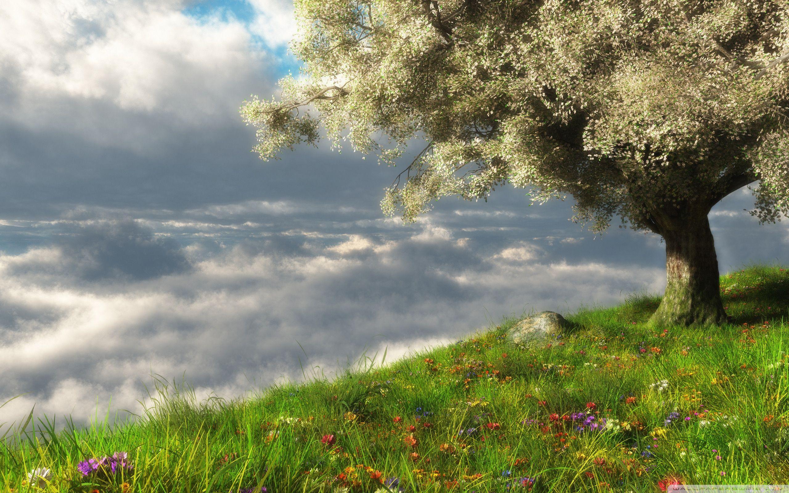 2560x1600 Spring 3D Scene Ultra HD Desktop Background Wallpaper for 4K UHD