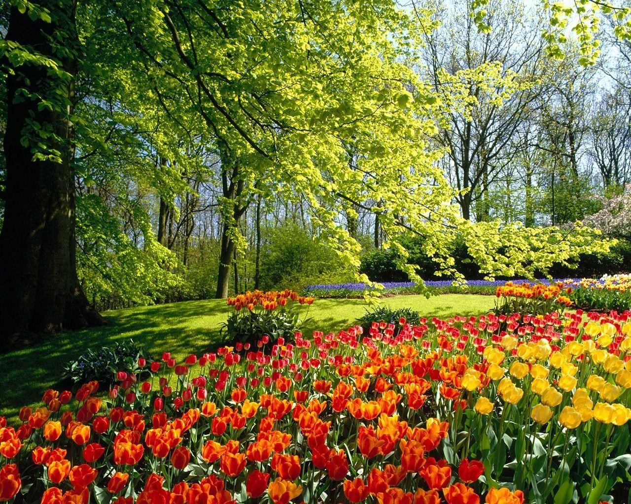 1280x1024 spring nature picture. Beautiful flowers garden, Most beautiful