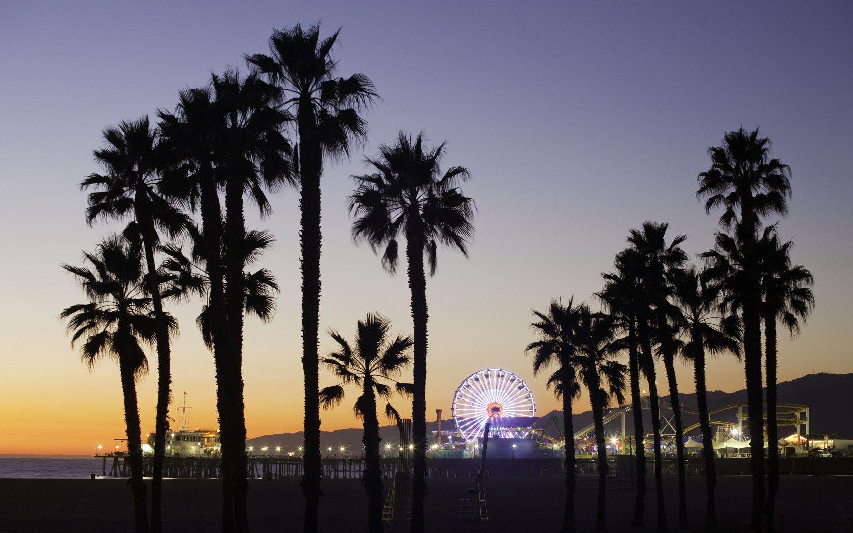 1680x1050 Free download Download California Palm Trees Wallpaper 1680x1050