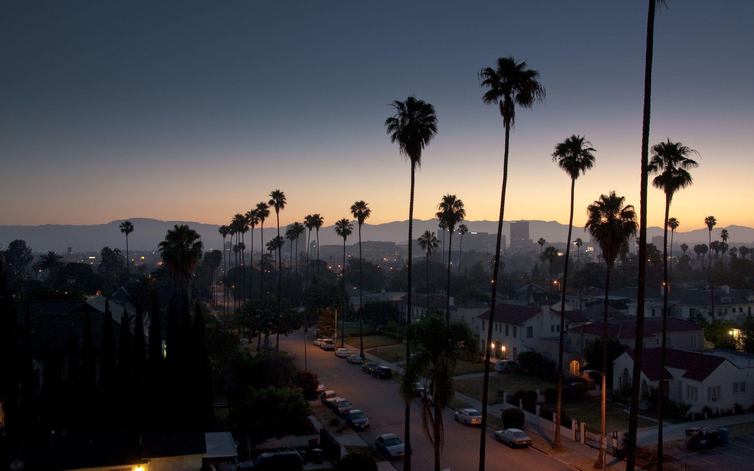 2880x1800 Los Angeles Palm Trees. Los angeles wallpaper, Los angeles palm