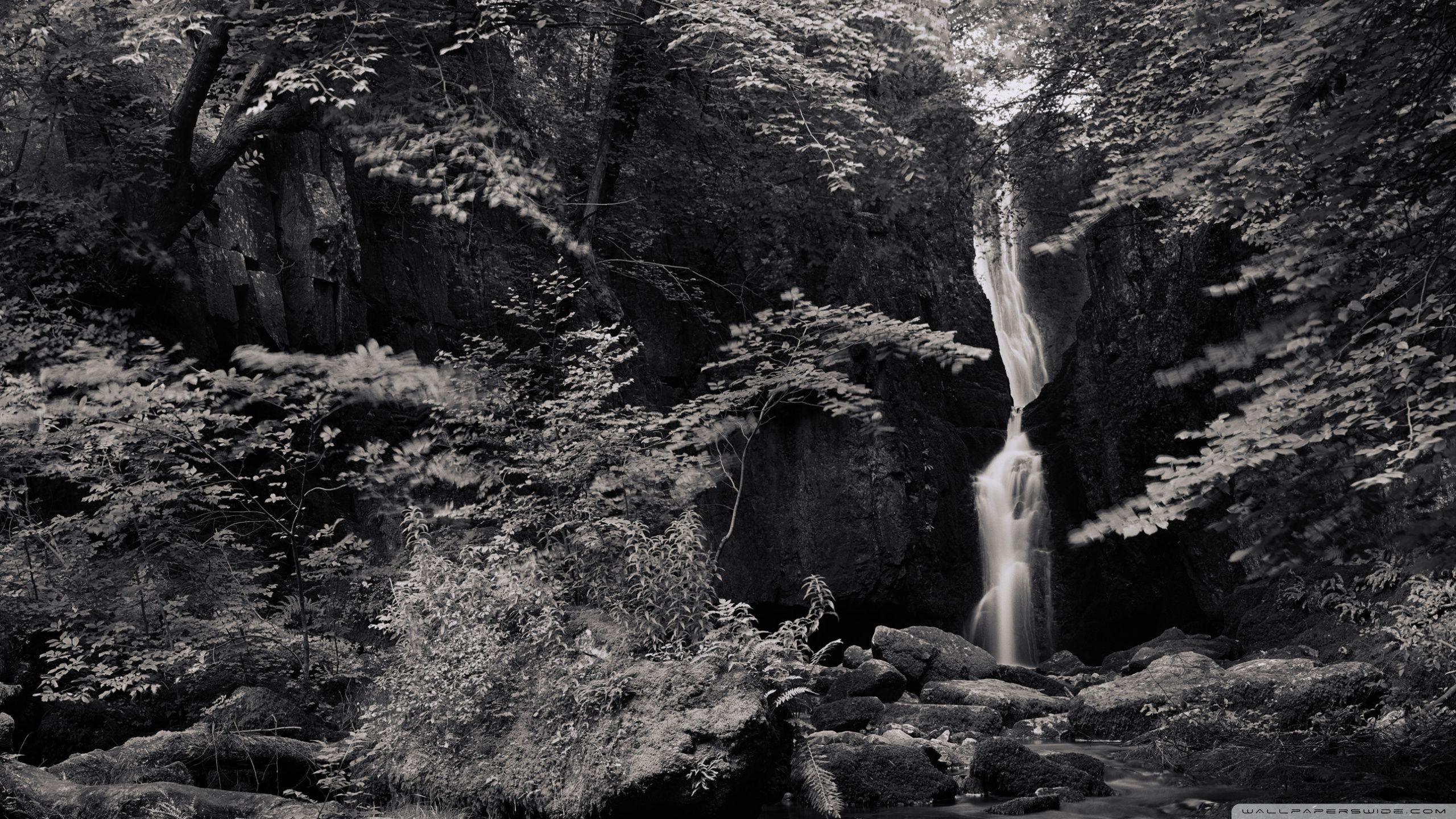 2560x1440 Hdwallpaper87.com Catrigg Force Waterfall Desktop