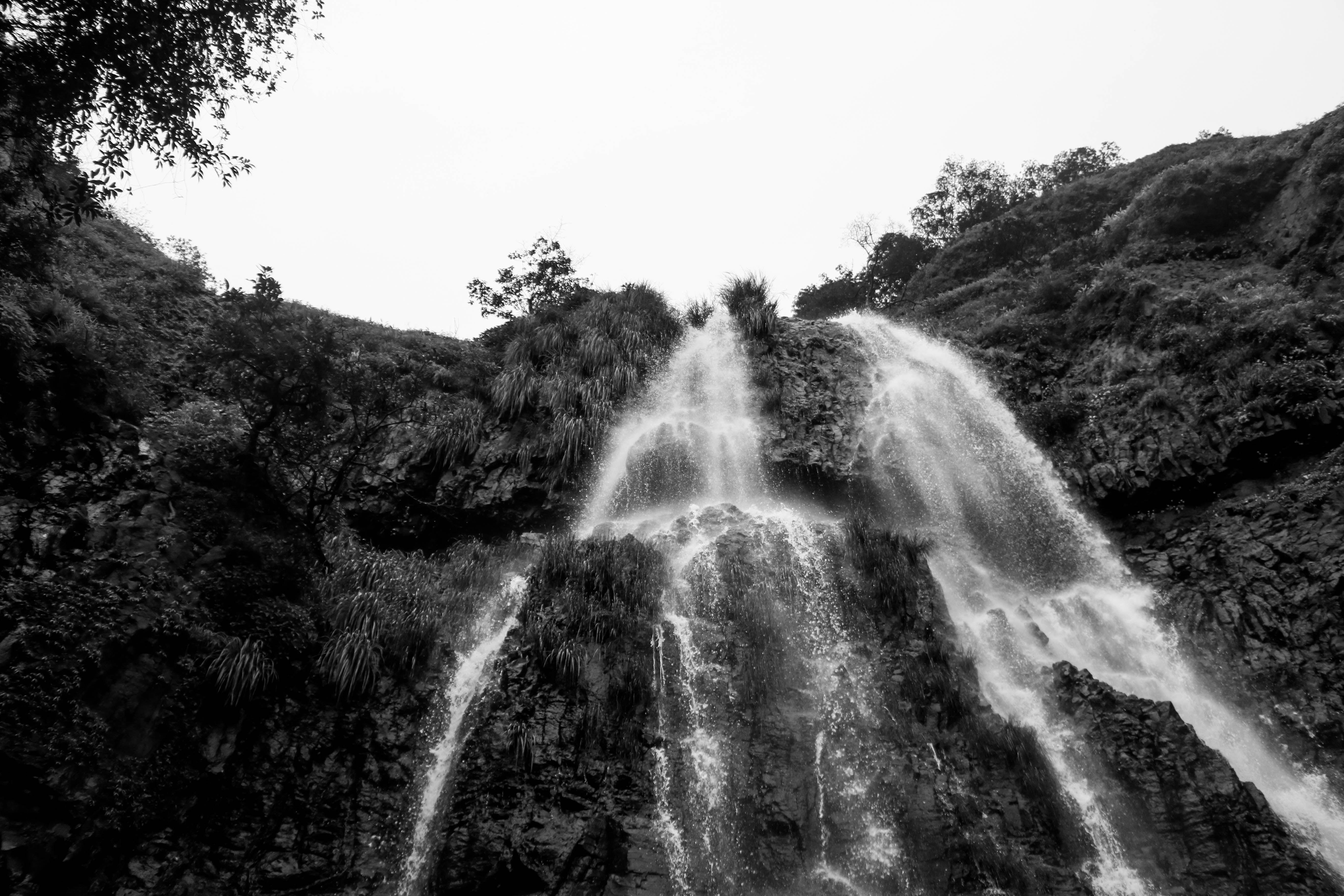 5472x3648 Free of background, black and white, nature