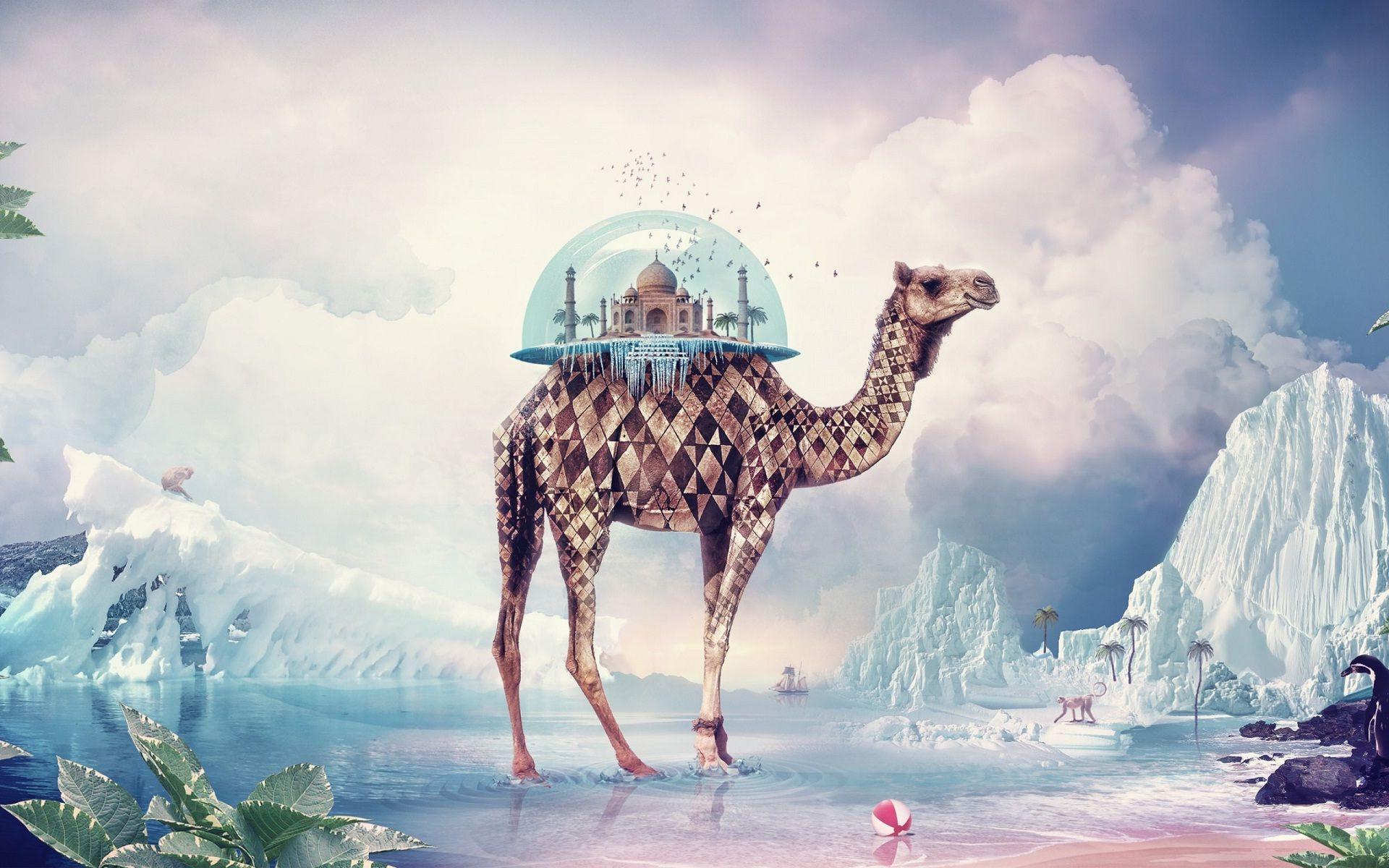 1920x1200 Tajmahal on camel 3D world wonders. HD Wallpaper Rocks