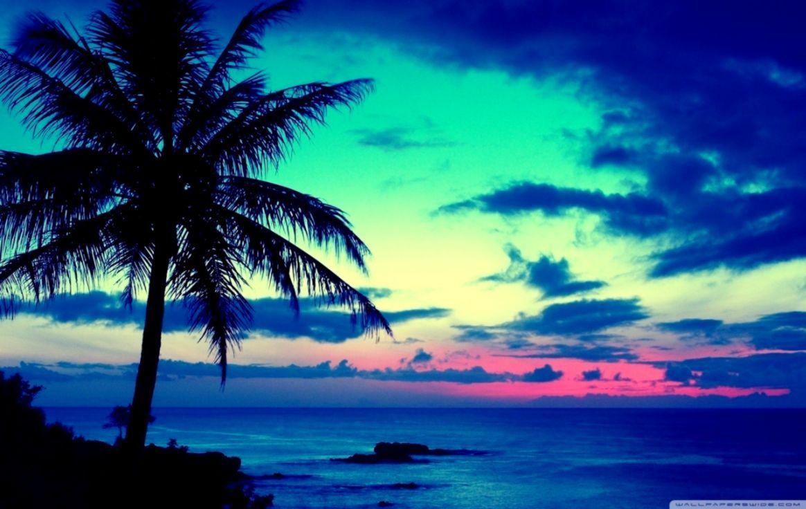 1164x736 Tropical Beach Sunrise Wallpaper. Decor di Design