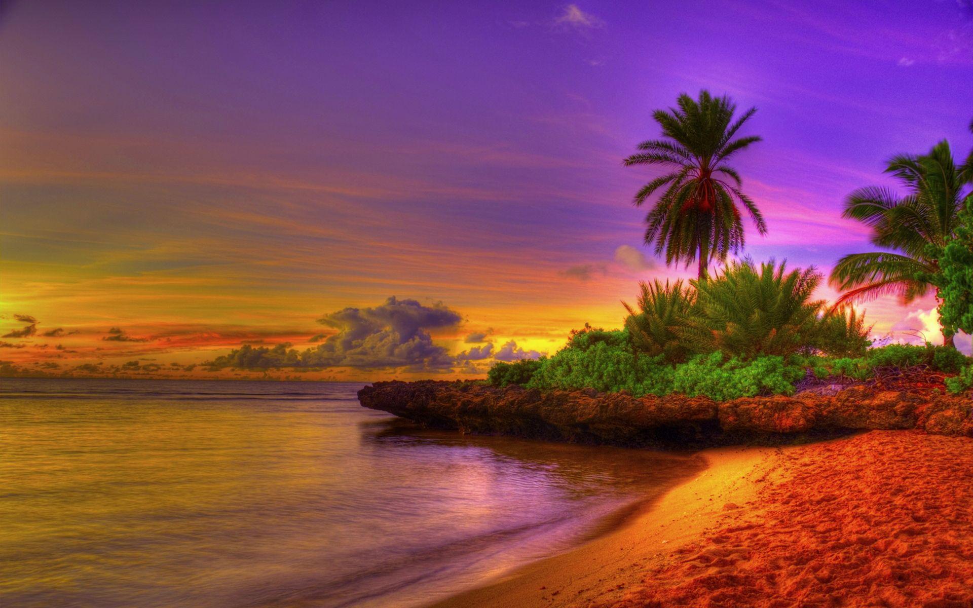 1920x1200 Summer Exotic Beach Background