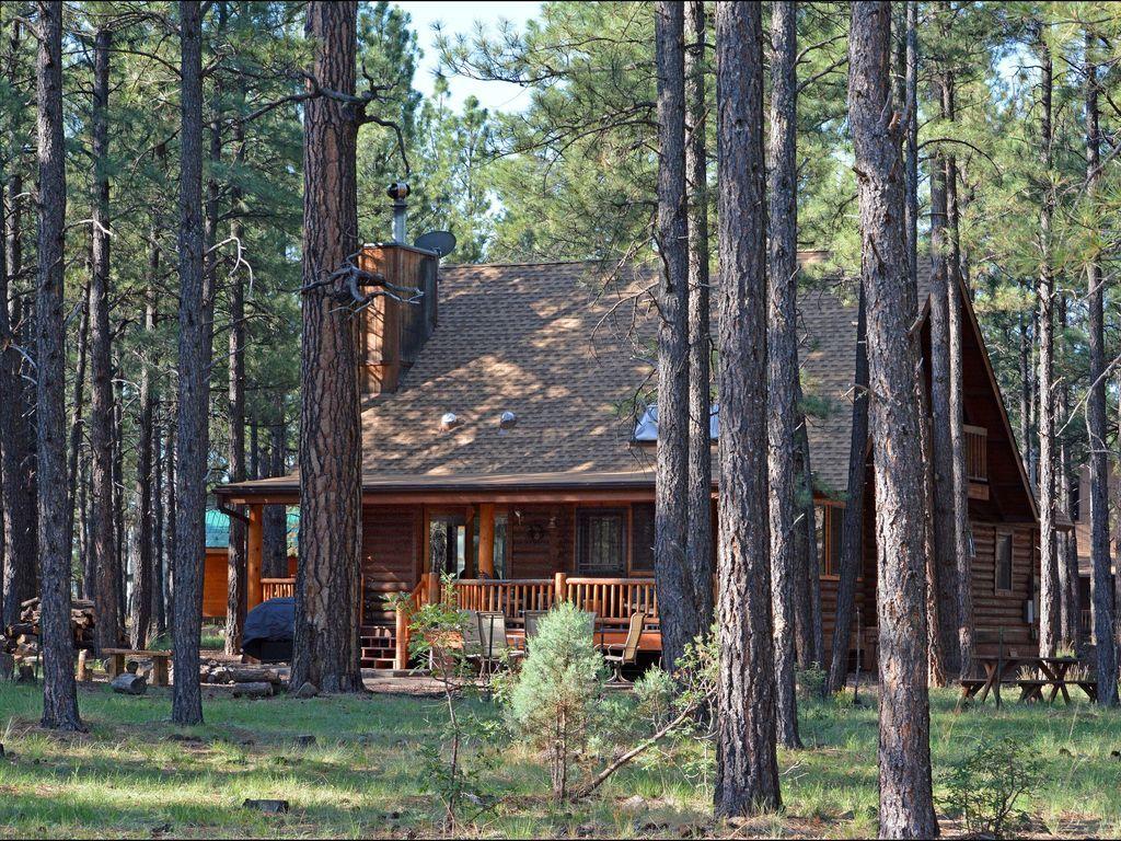 1024x768 Log Cabin on National Forest, Relaxing, Serene