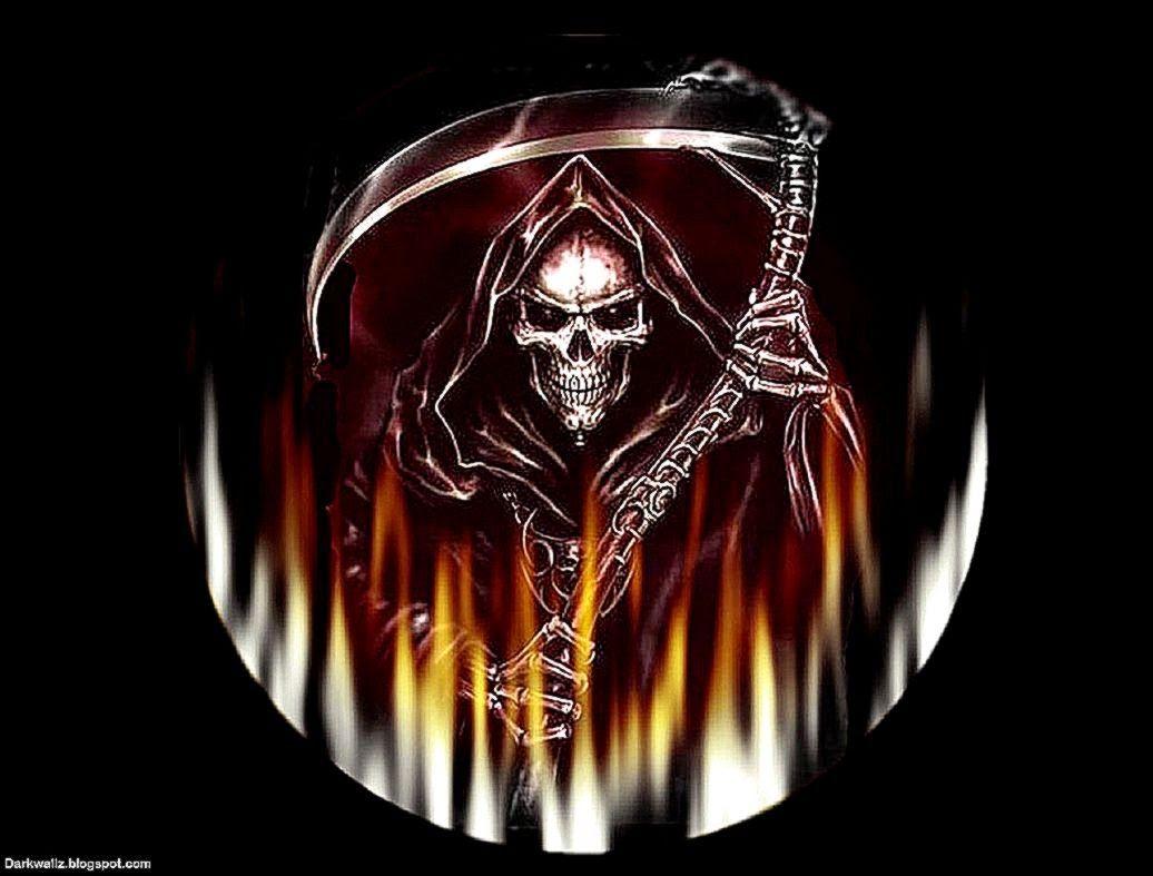 1036x787 Free Skull Wallpaper Downloads. Free HD Wallpaper