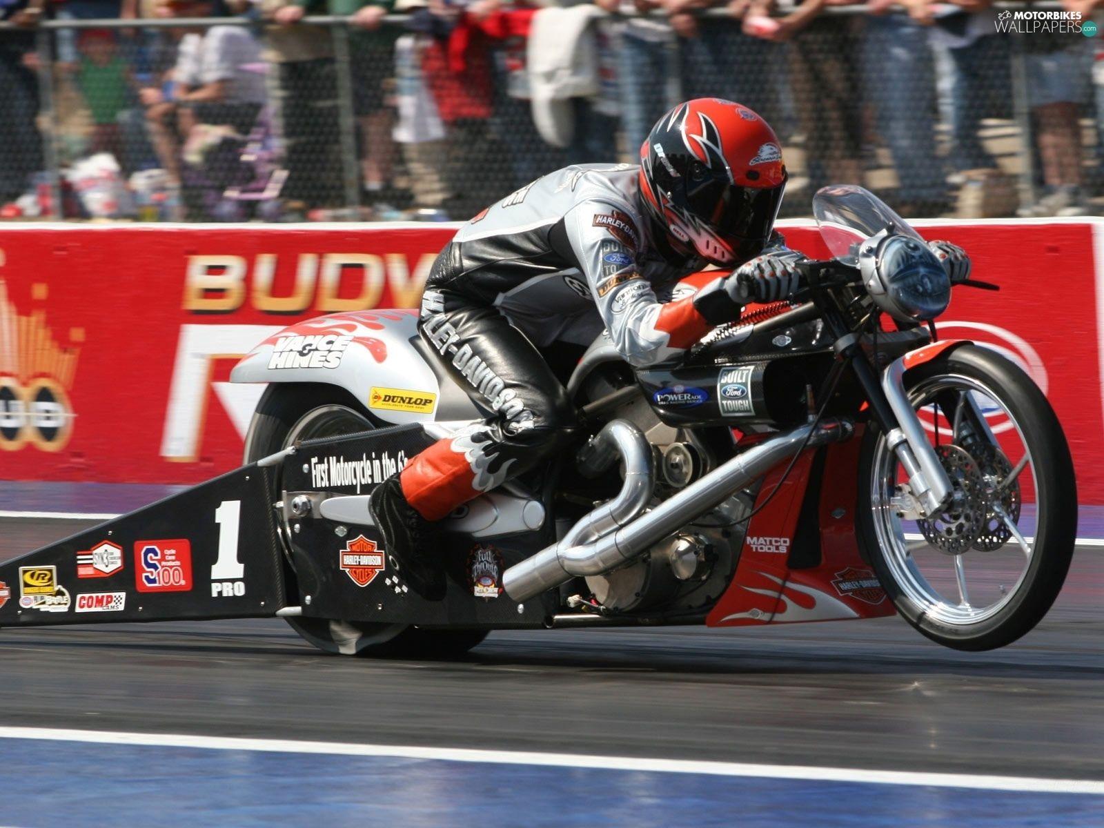 1600x1200 Harley Davidson V Rod Muscle Drag, Race Wallpaper: 1600x1200