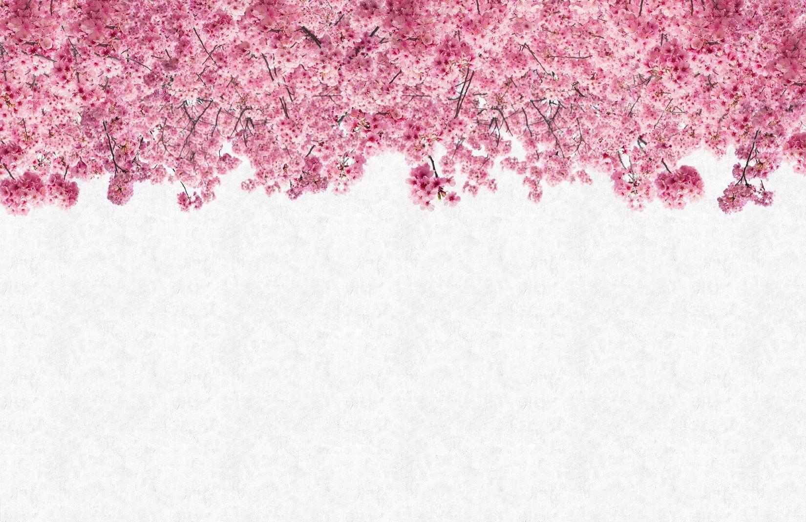 Calming Pink Wallpapers - Top Free Calming Pink Backgrounds