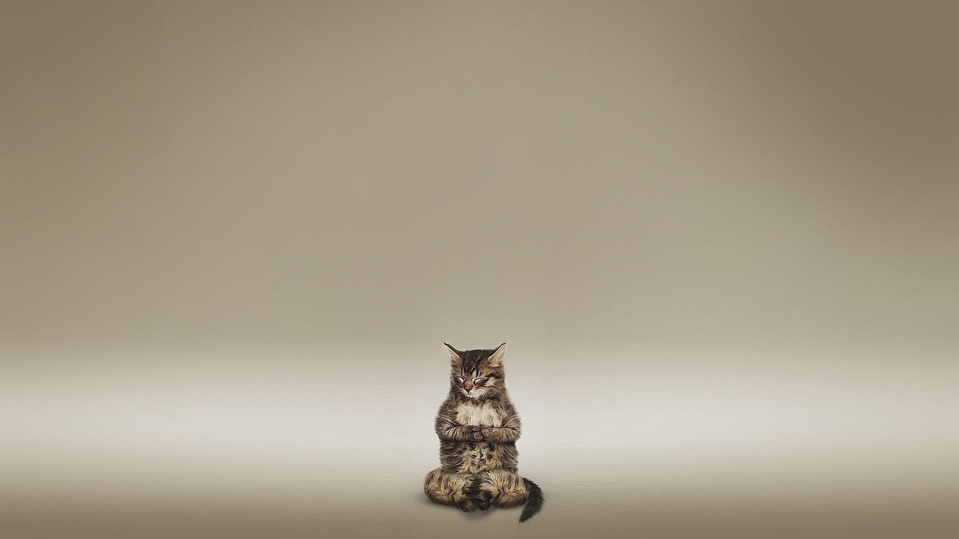 1920x1080 Free Zen Wallpaper