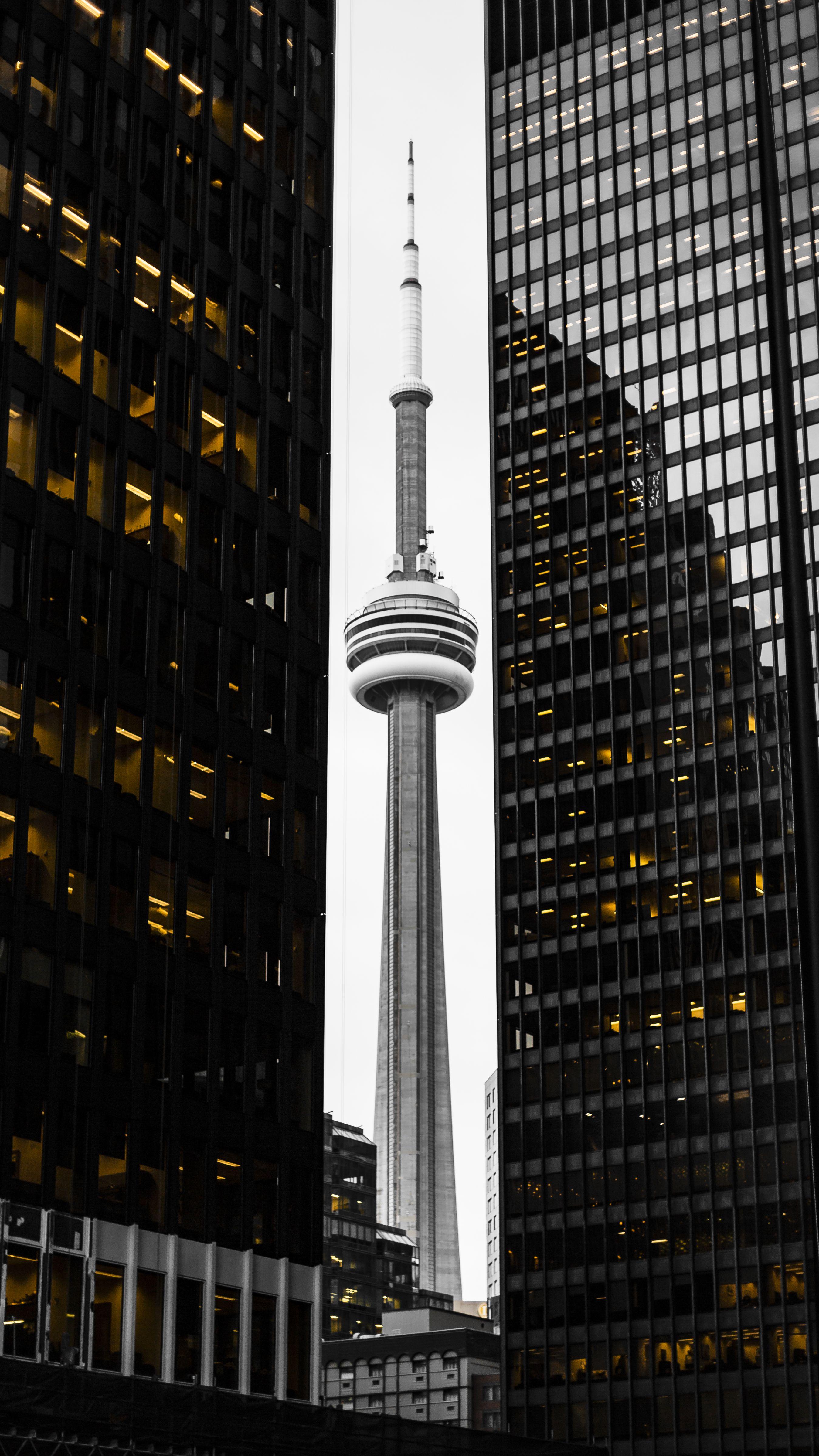 Toronto Phone Wallpapers - Top Free Toronto Phone Backgrounds ...