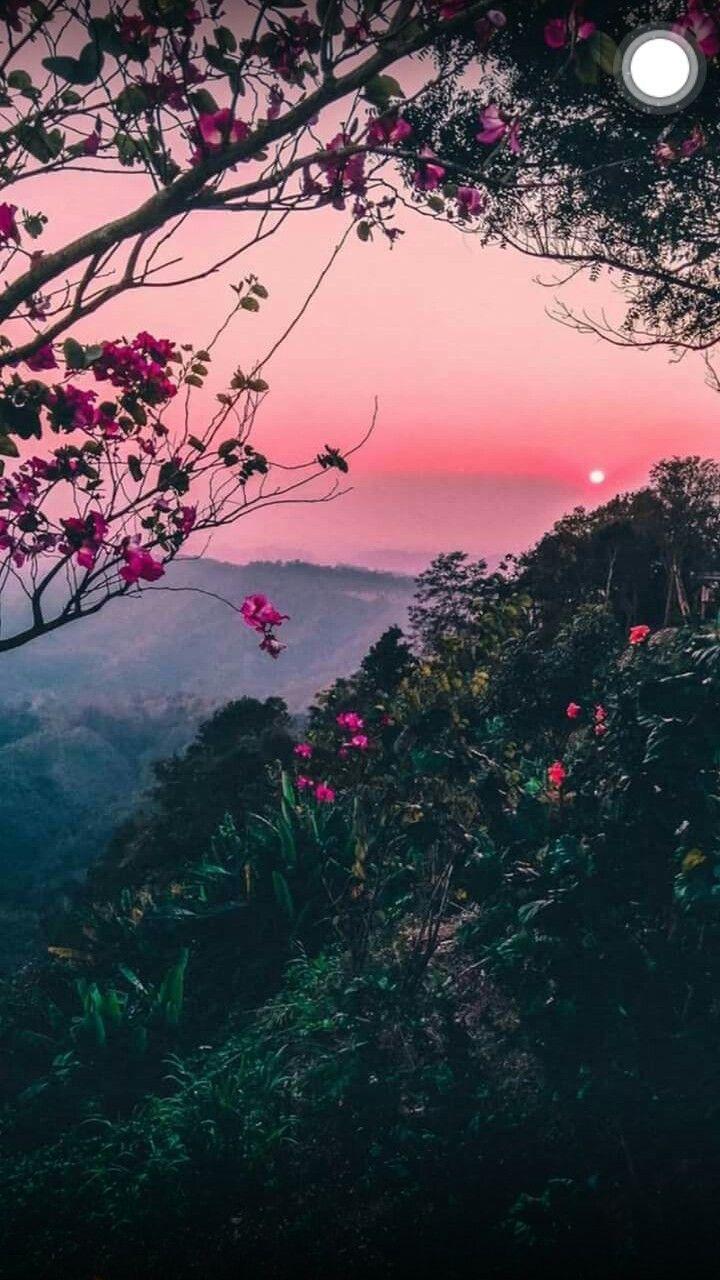 Nature Aesthetic Phone Wallpapers - Top Free Nature Aesthetic Phone