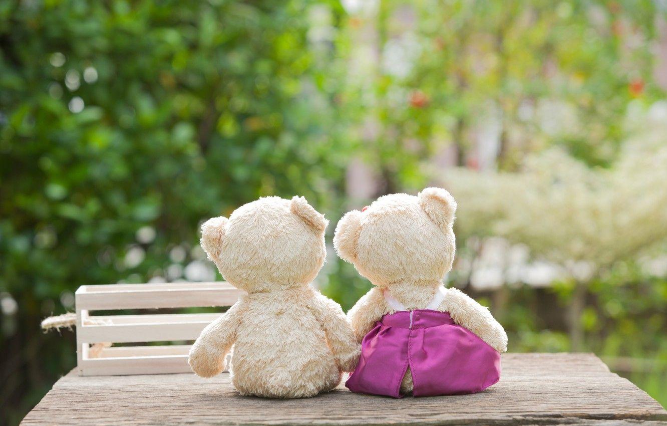 1332x850 Wallpaper love, toy, bear, pair, love, bear, park, romantic, teddy