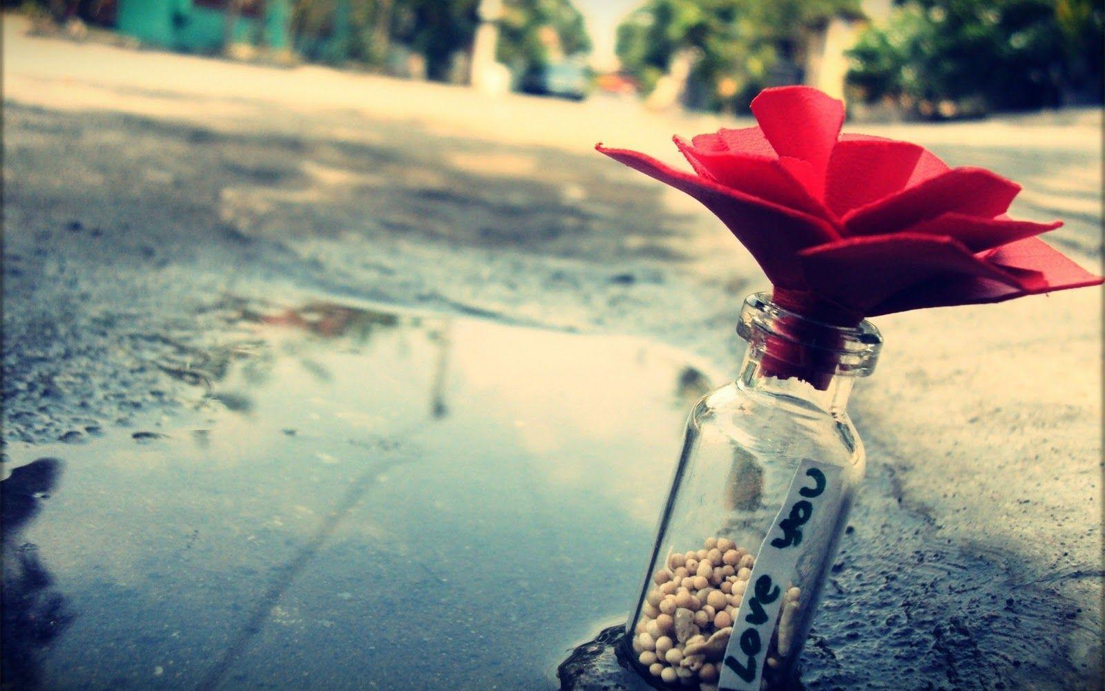 1600x1000 Full HD Love Romantic Wallpaper For Computer Desktop