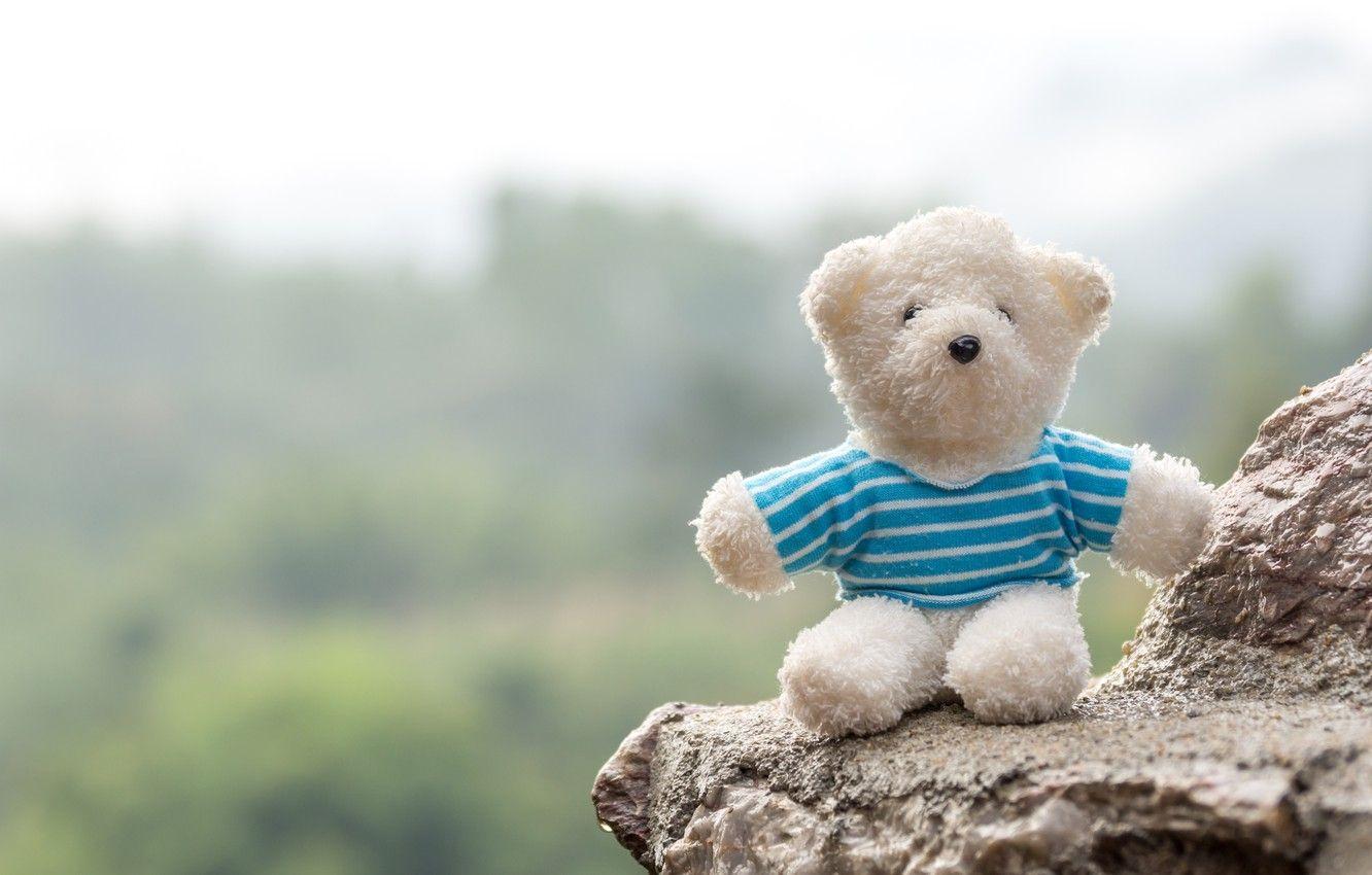1332x850 Wallpaper love, toy, bear, love, bear, romantic, teddy, cute image for desktop, section настроения