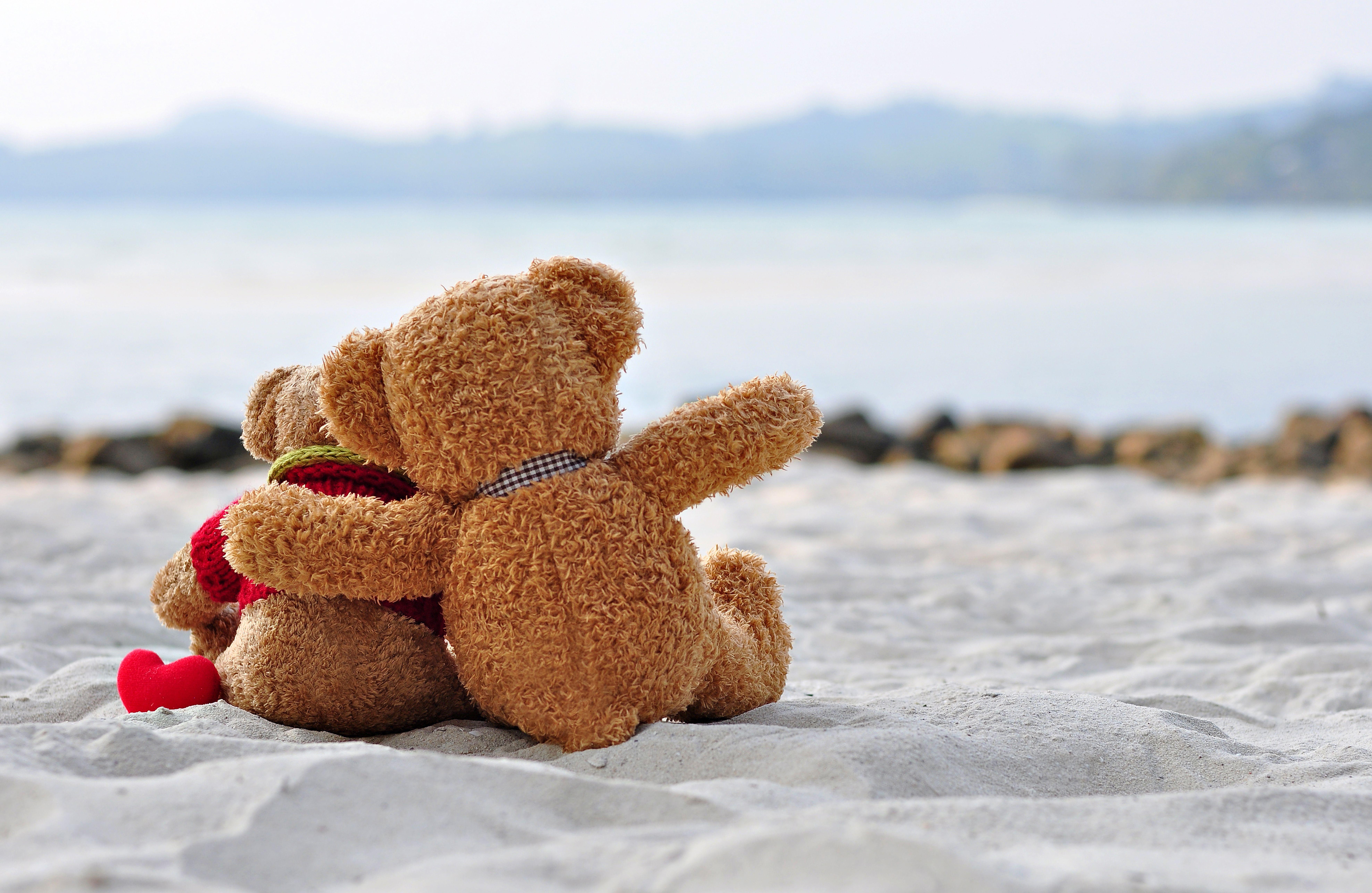 7908x5148 Wallpaper bear, toy, love, romance, teddy for the desktop