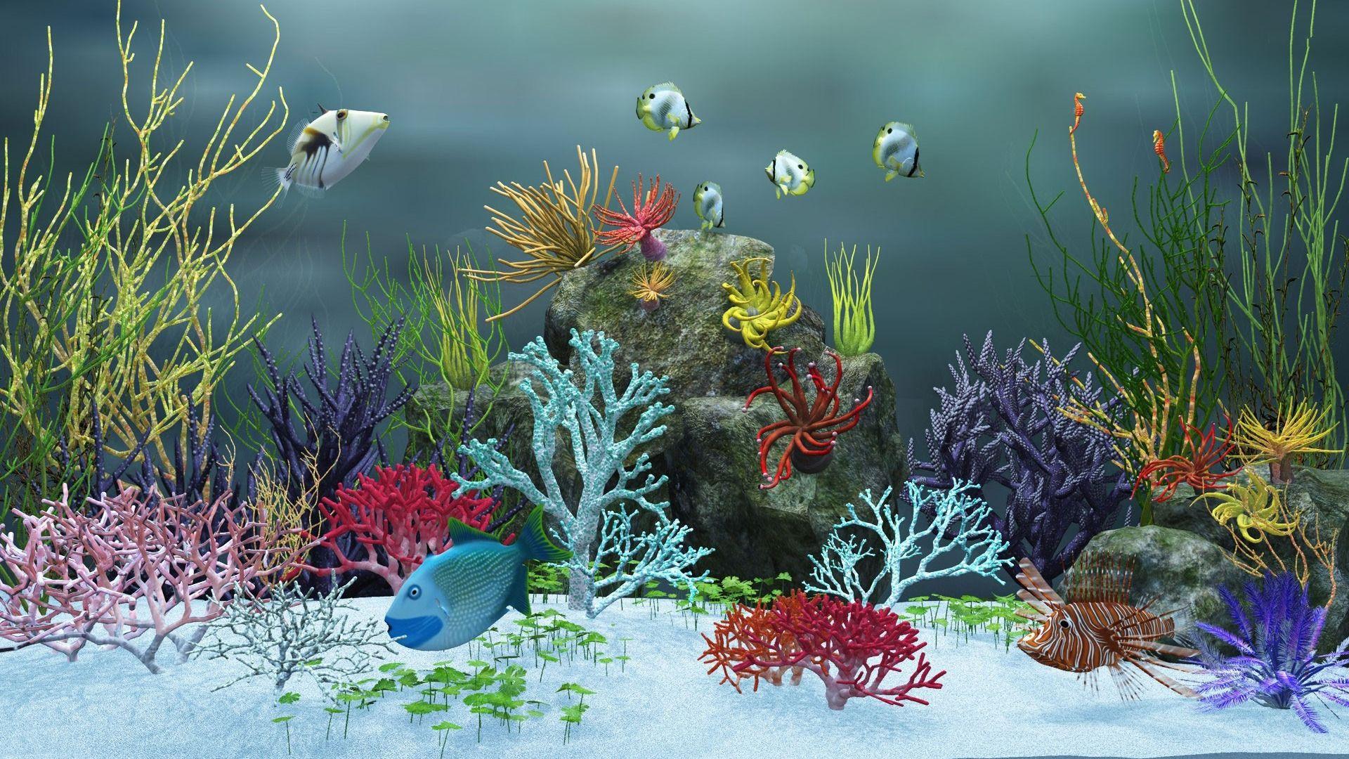 Aquarium Desktop Wallpapers - Top Free Aquarium Desktop Backgrounds ...