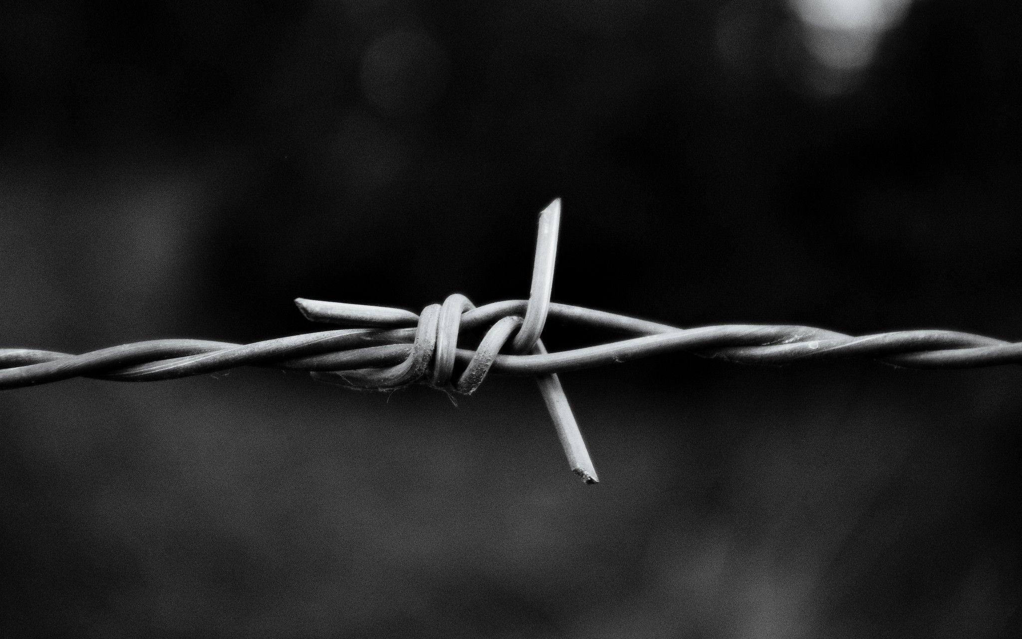 Barbed Wire Photos Download The BEST Free Barbed Wire Stock Photos  HD  Images