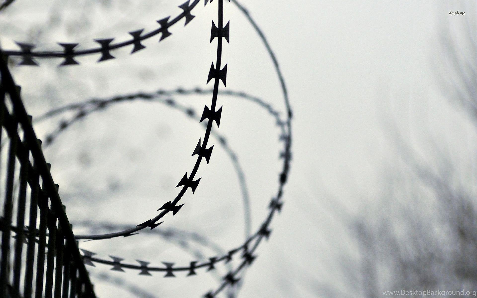 Barbed Wire Wallpapers - Top Free Barbed Wire Backgrounds - WallpaperAccess